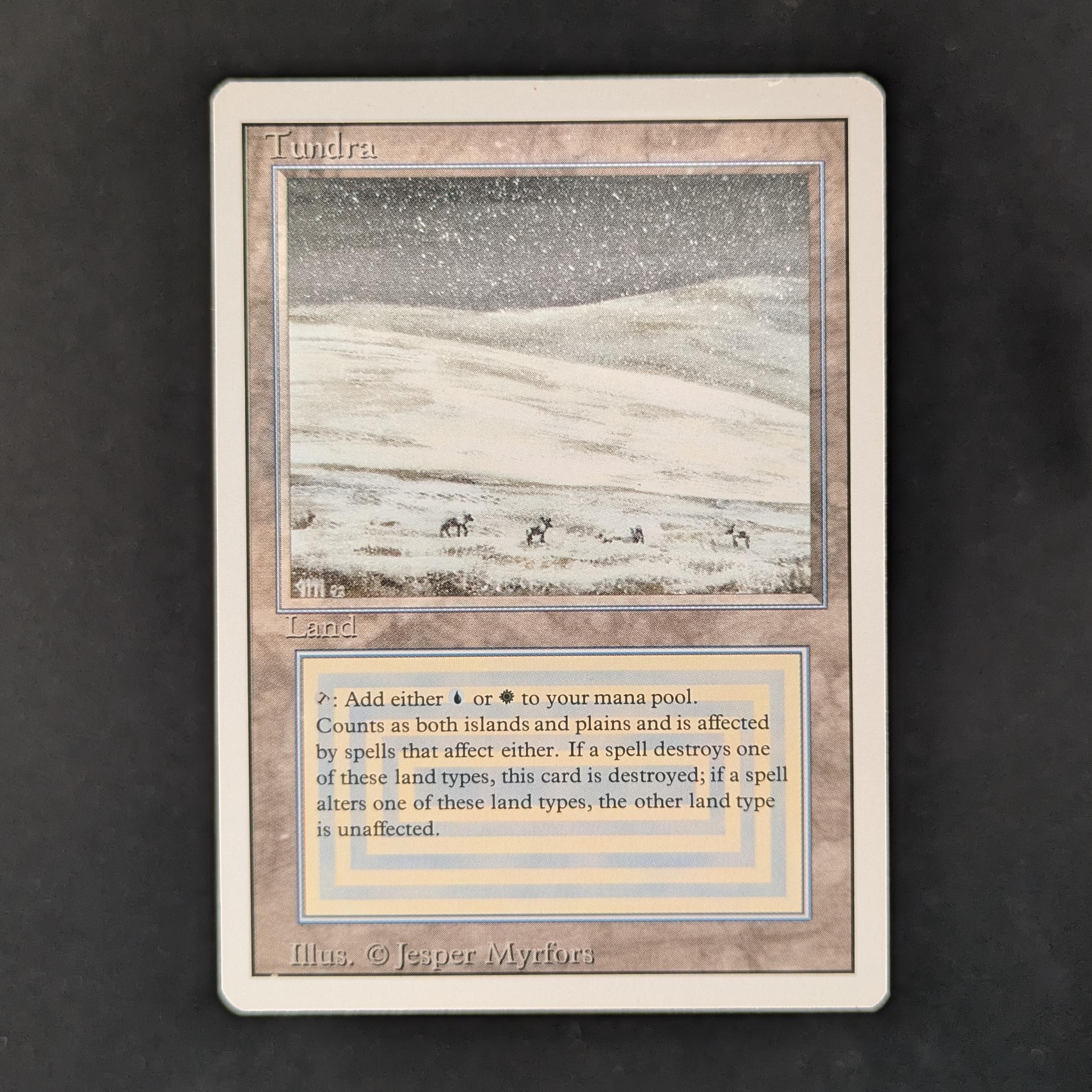 MTG Tundra 英語版 Tundra - Revised