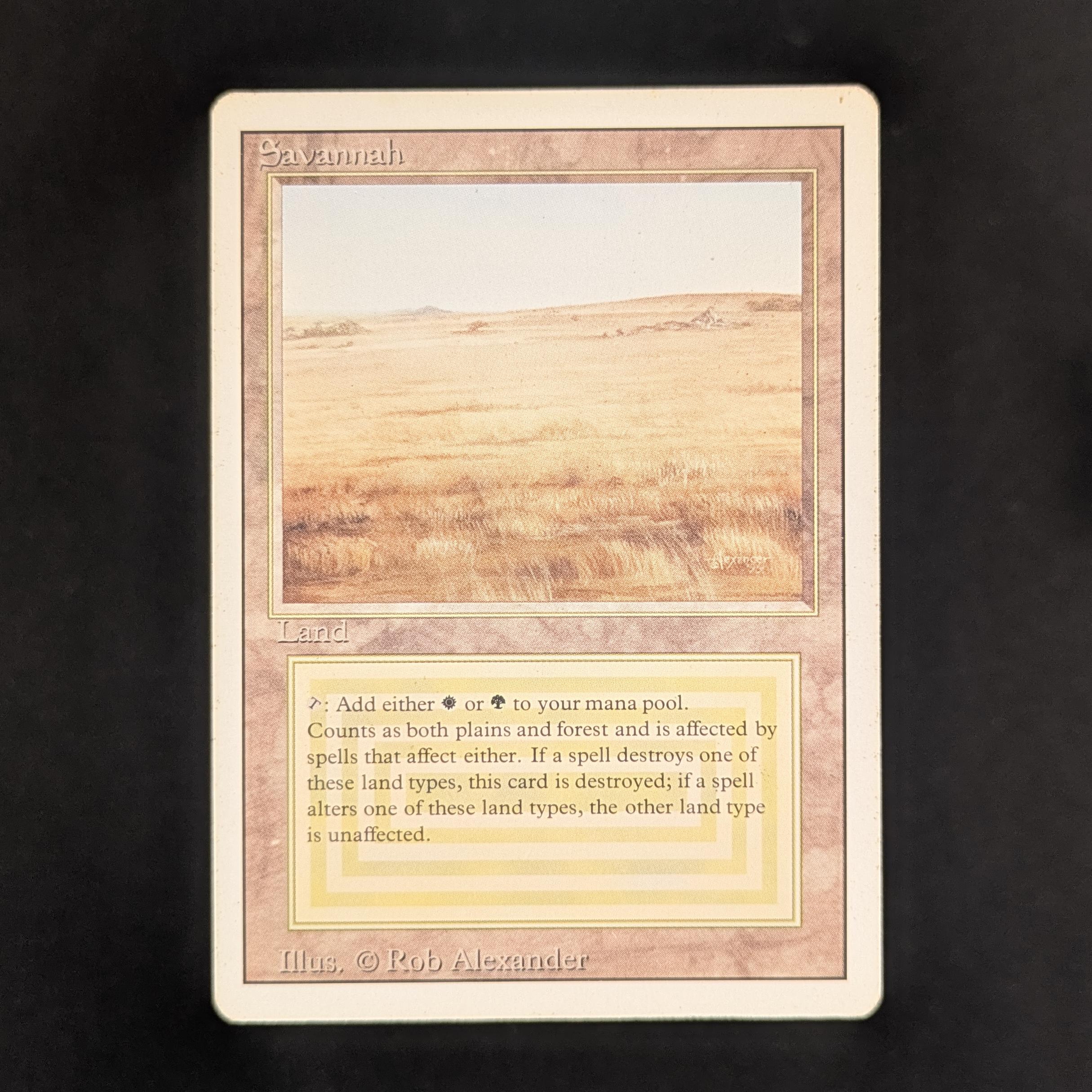 Savannah - Revised