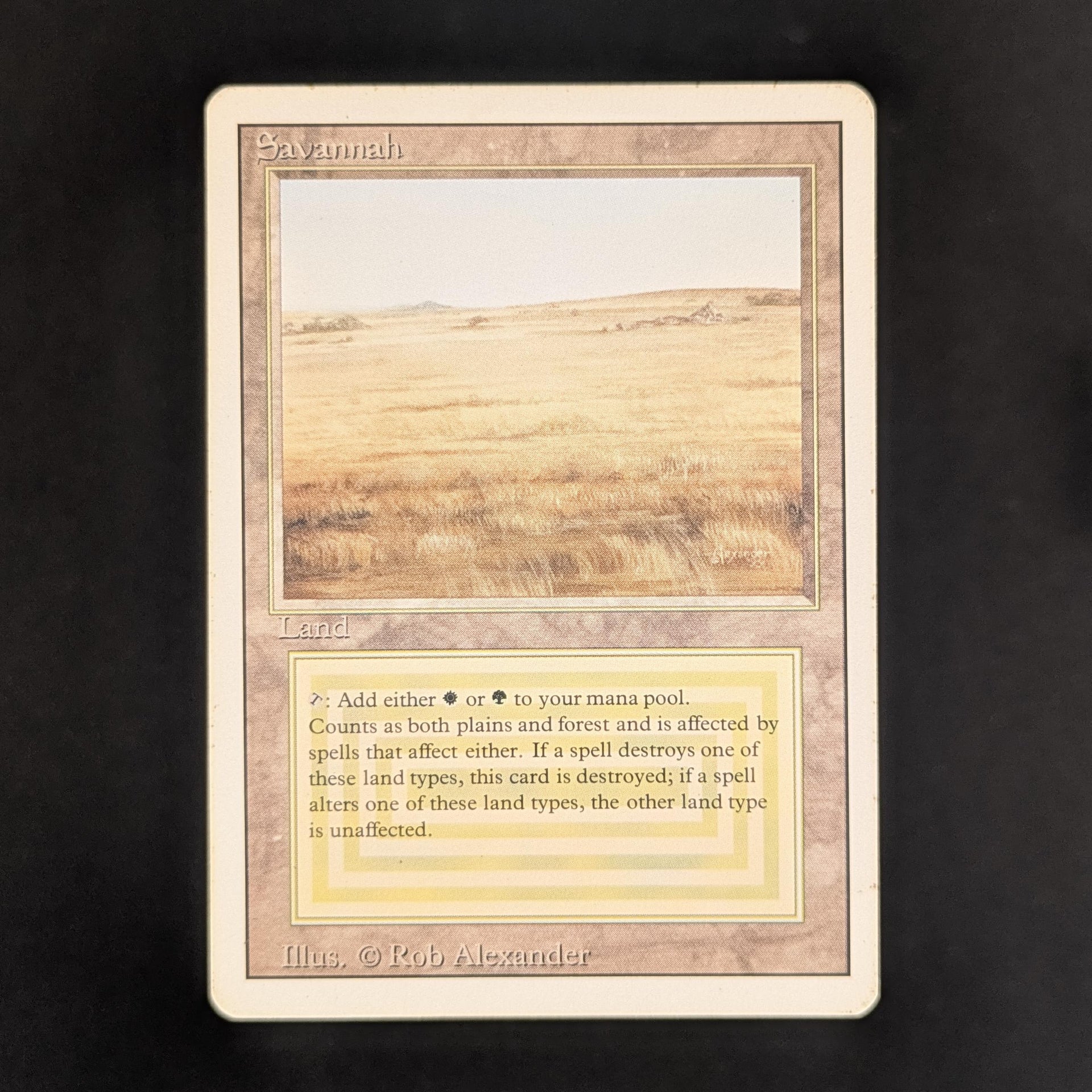 savannah mtg card bloomburrow I think this would Protection Level:Premium Blue Backed (80 sleeves per pack)