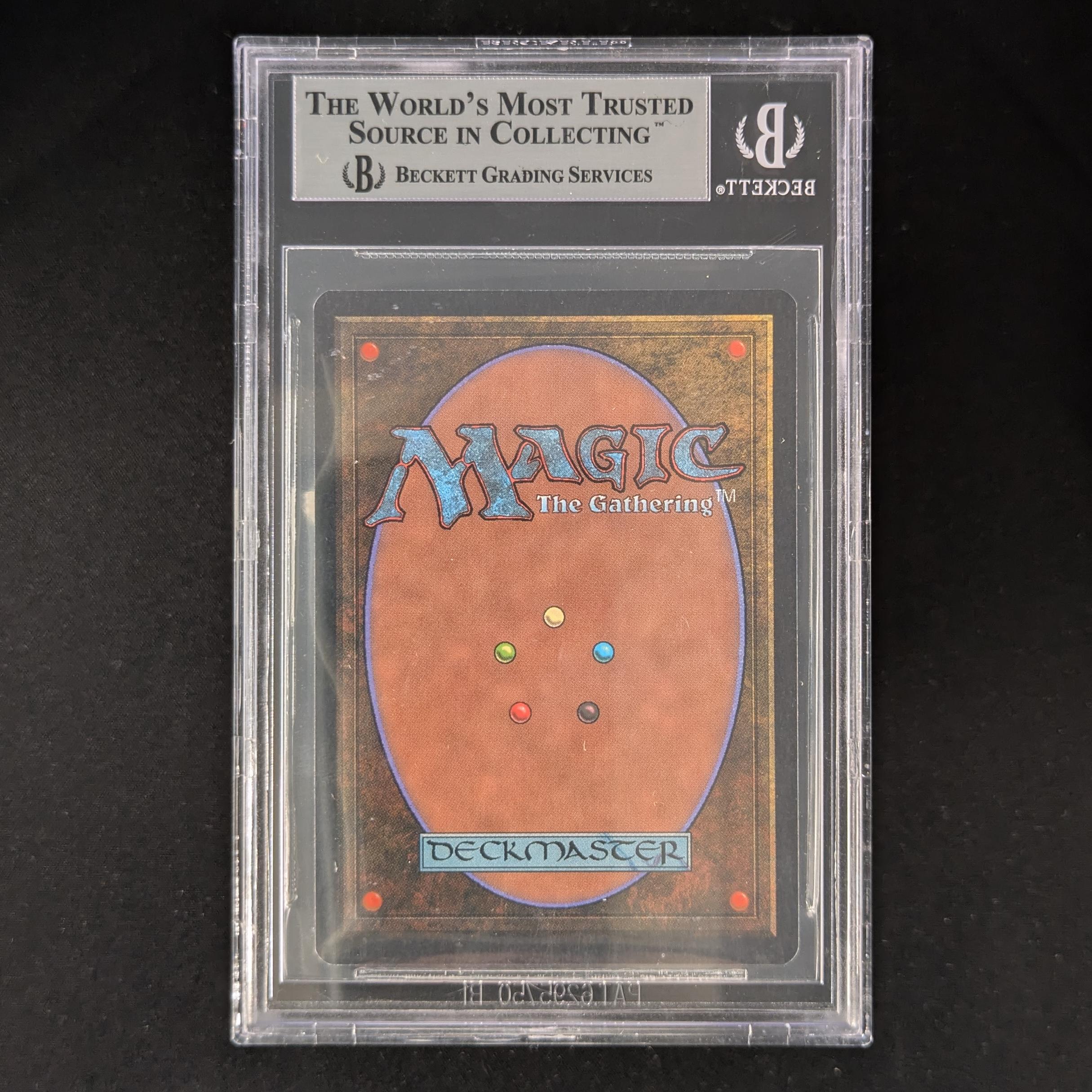 Camel - Arabian Nights - BGS 9