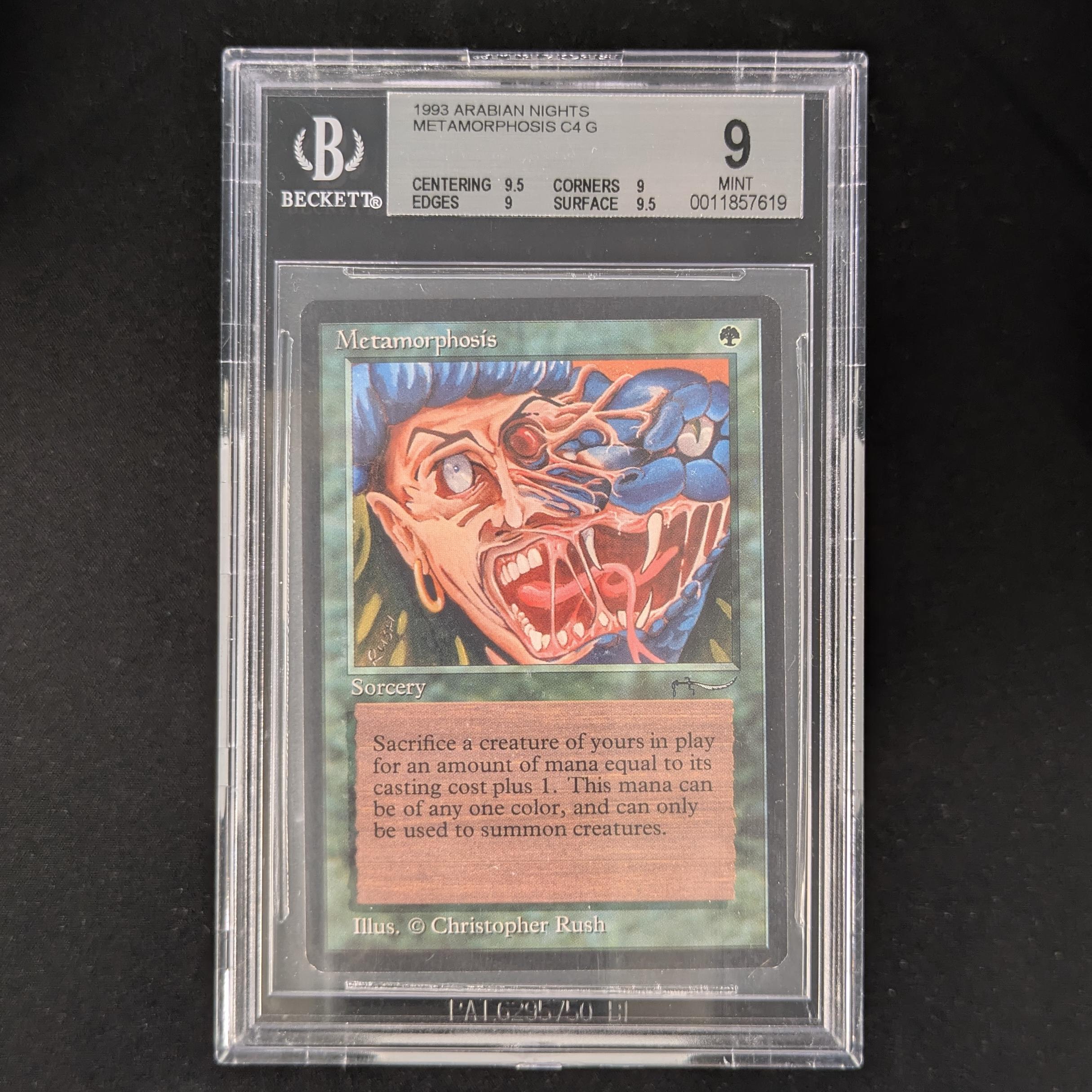 Metamorphosis - Arabian Nights - BGS 9