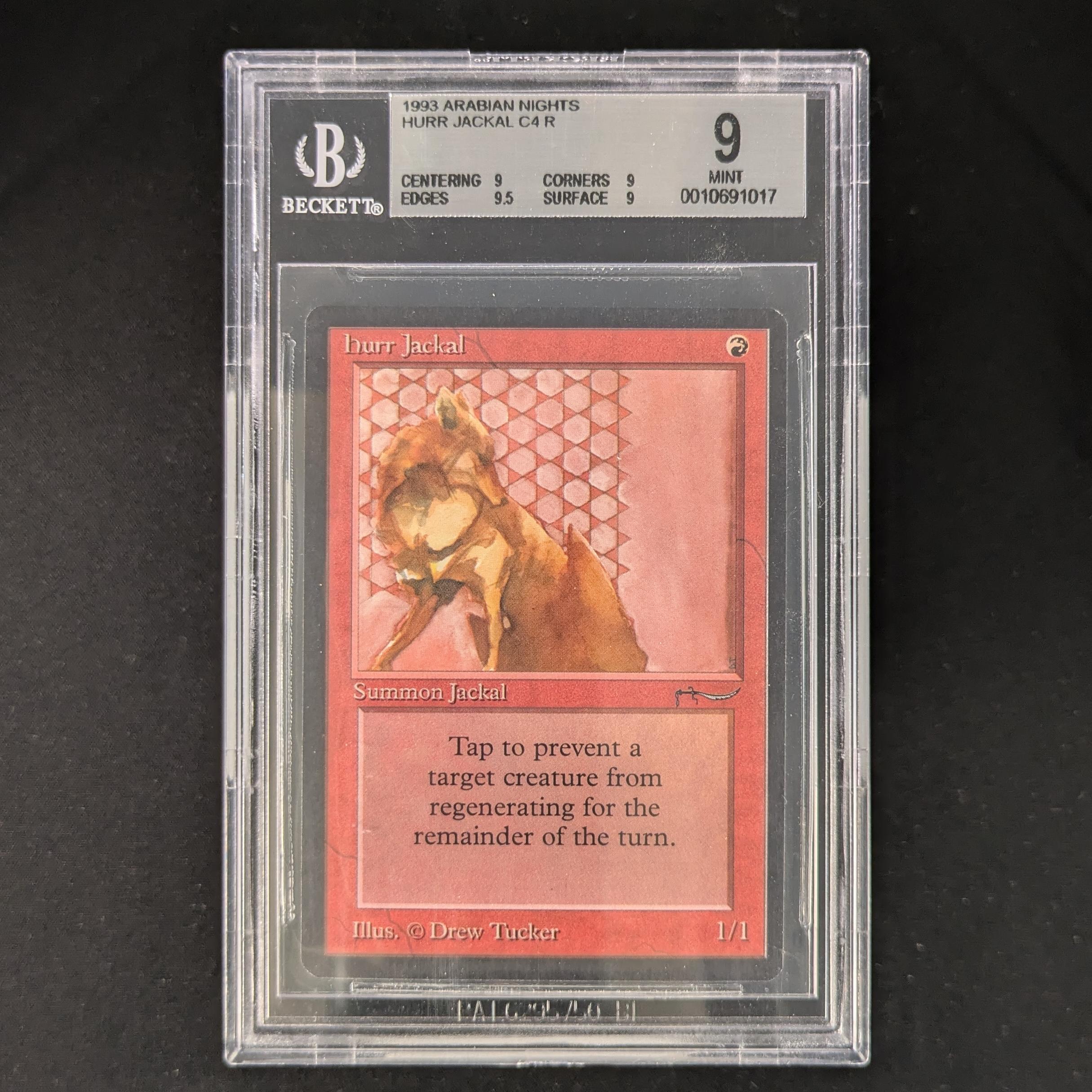 Hurr Jackal - Arabian Nights - BGS 9
