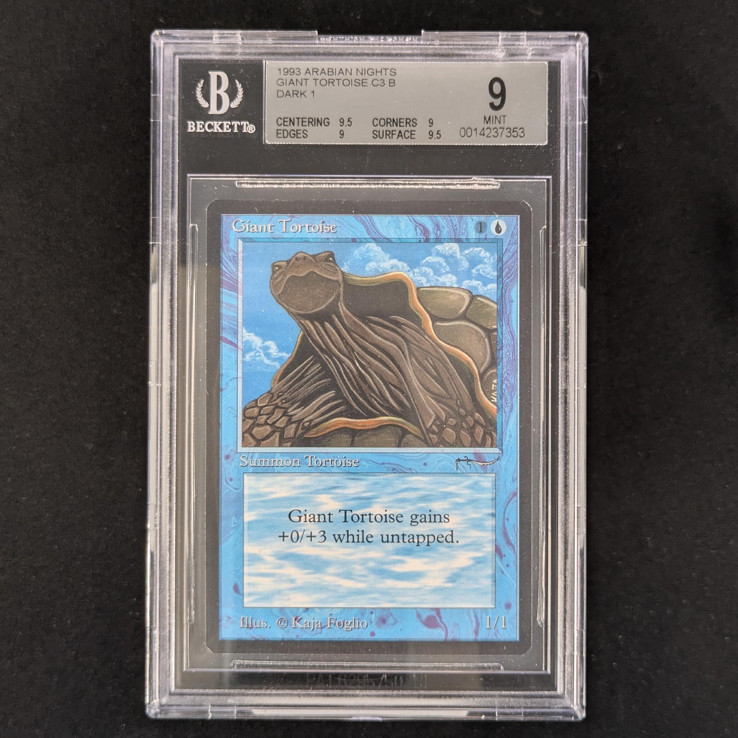 Giant Tortoise - Arabian Nights - BGS 9 - Dark