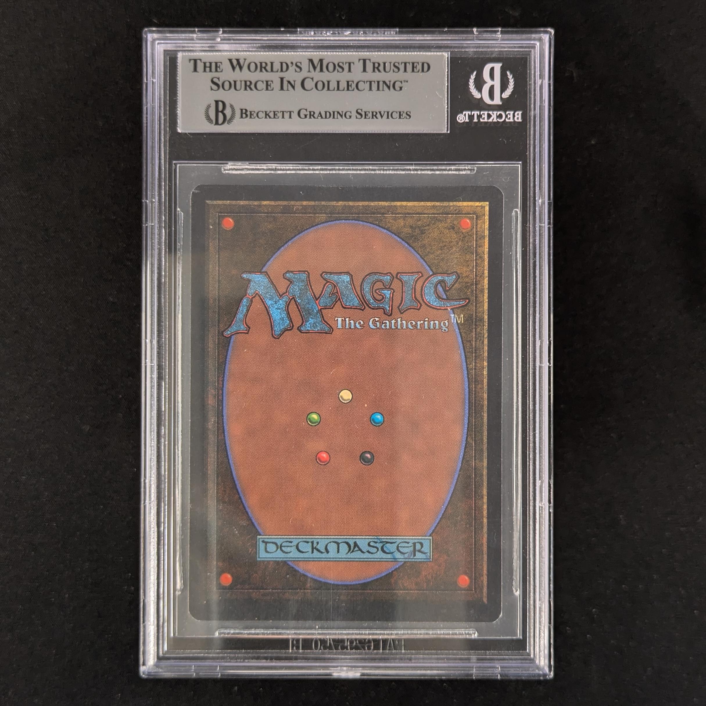 Giant Tortoise - Arabian Nights - BGS 9 - Dark