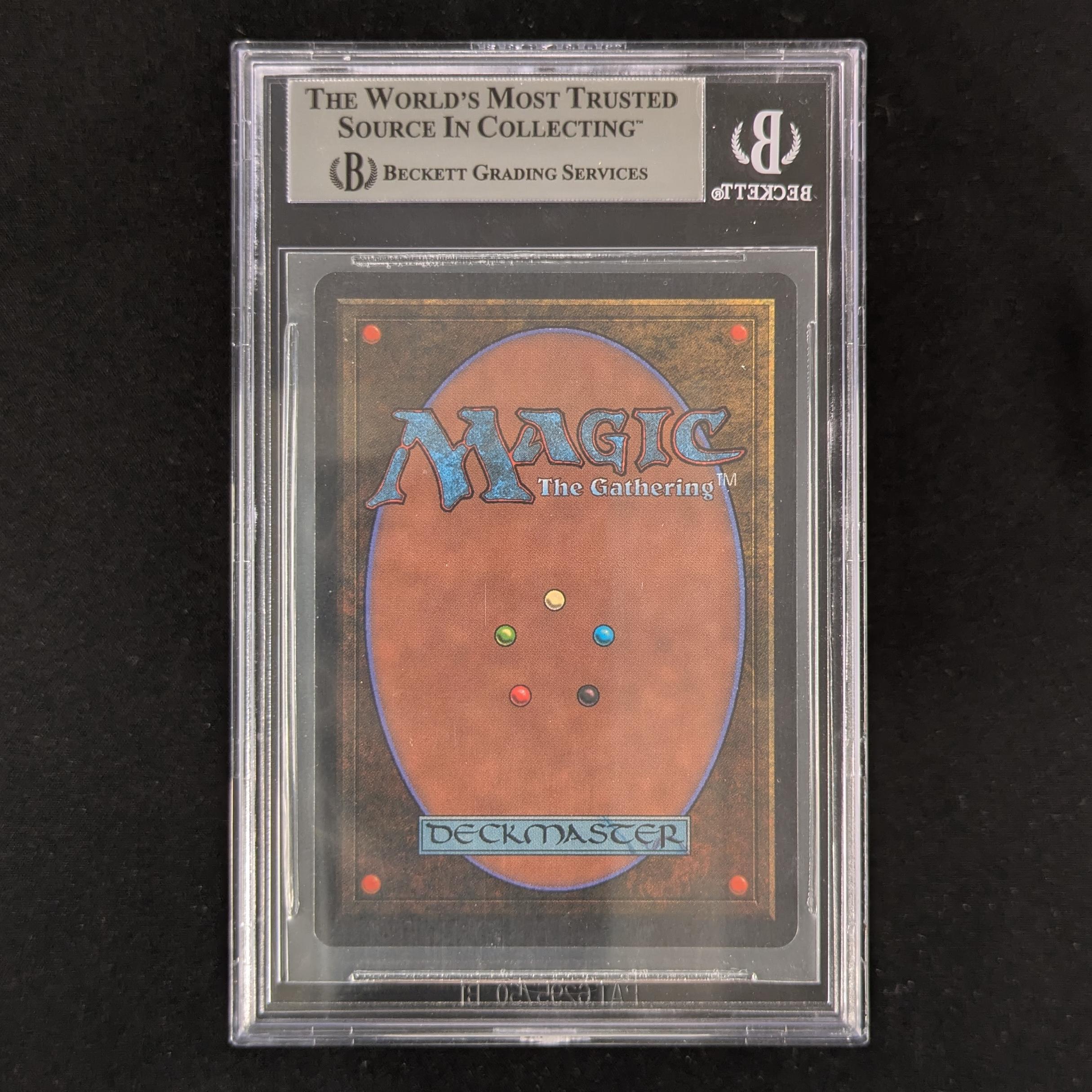 Nafs Asp - Arabian Nights - BGS 9 - Dark