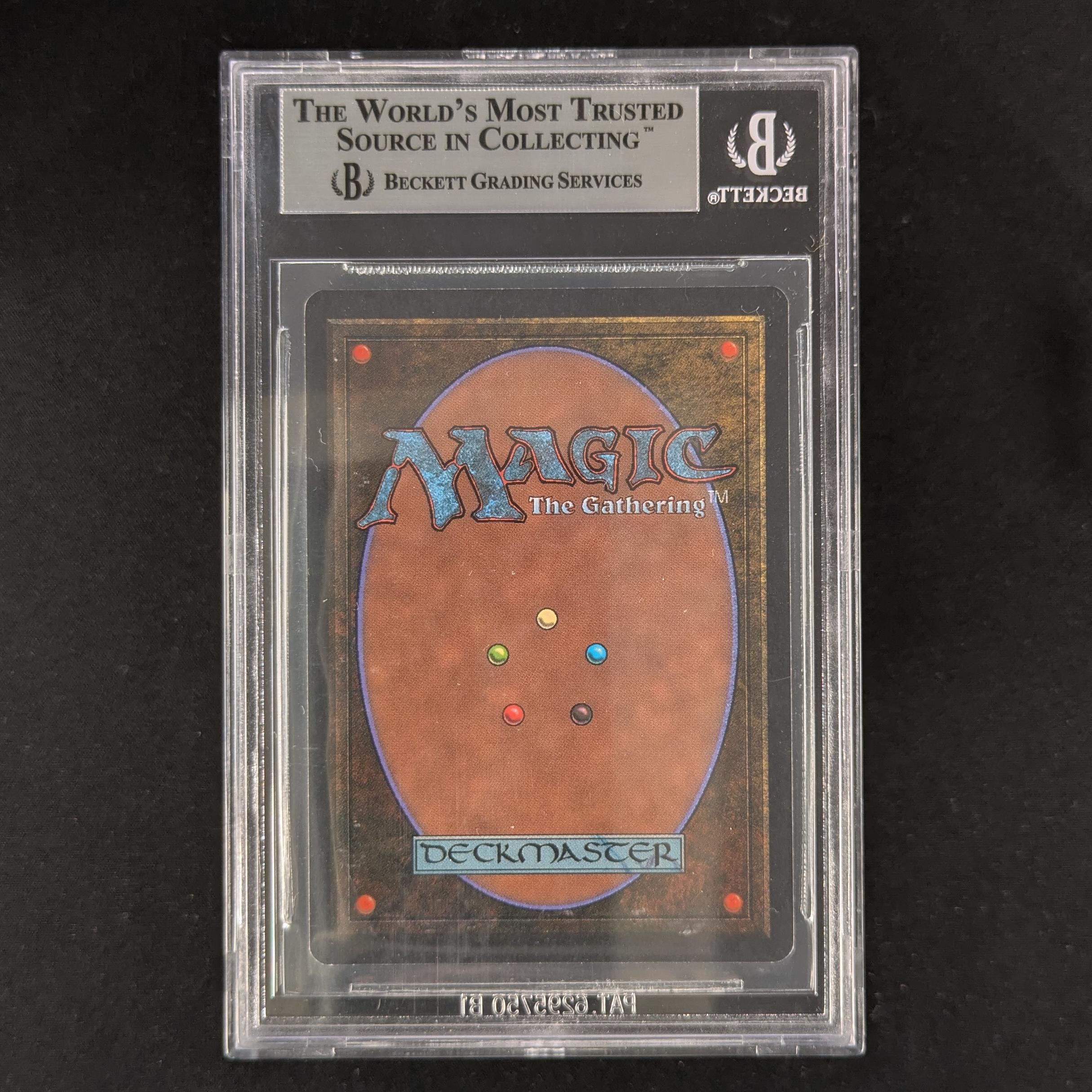 Wyluli Wolf - Arabian Nights - BGS 9 - Dark