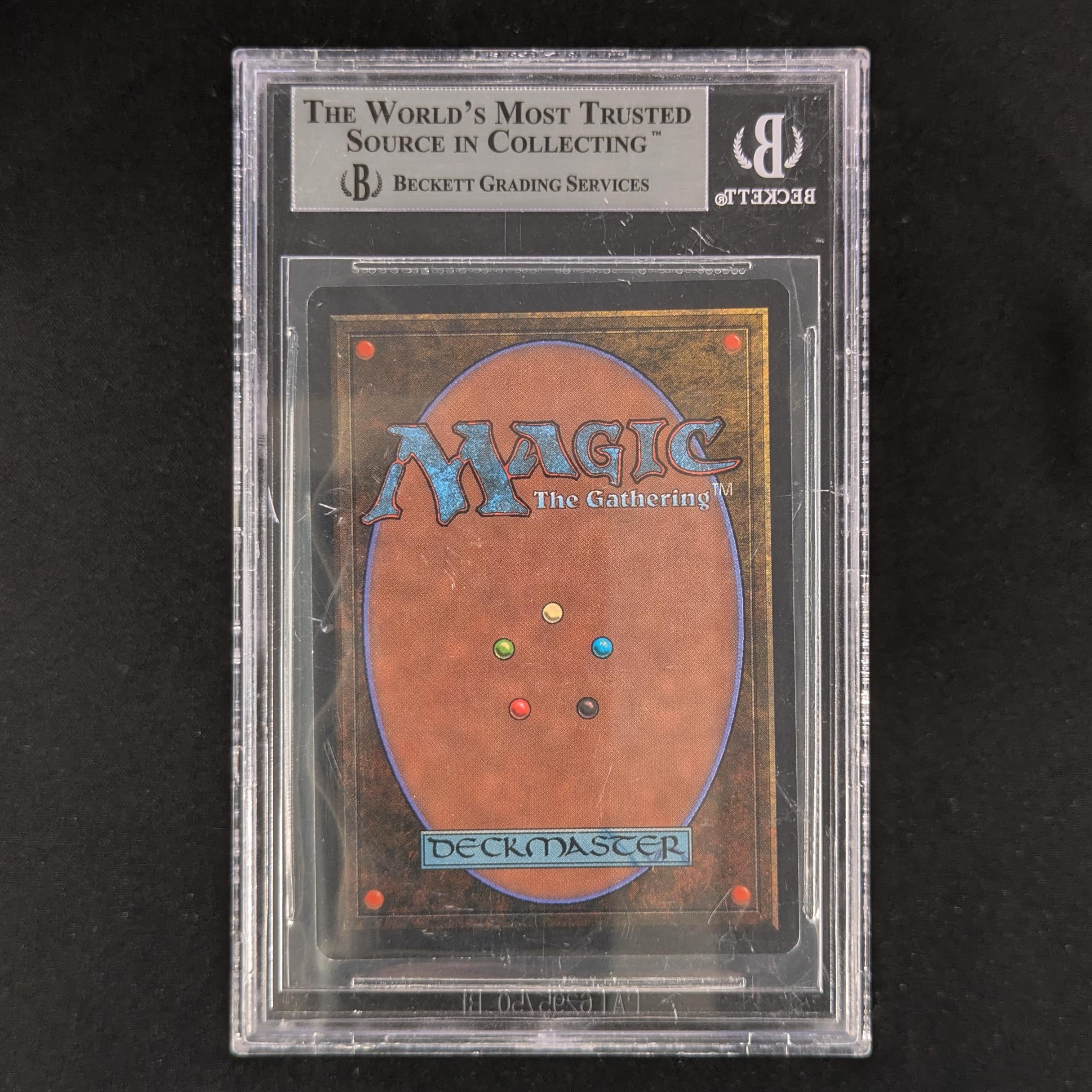 Wyluli Wolf - Arabian Nights - BGS 9 - Dark