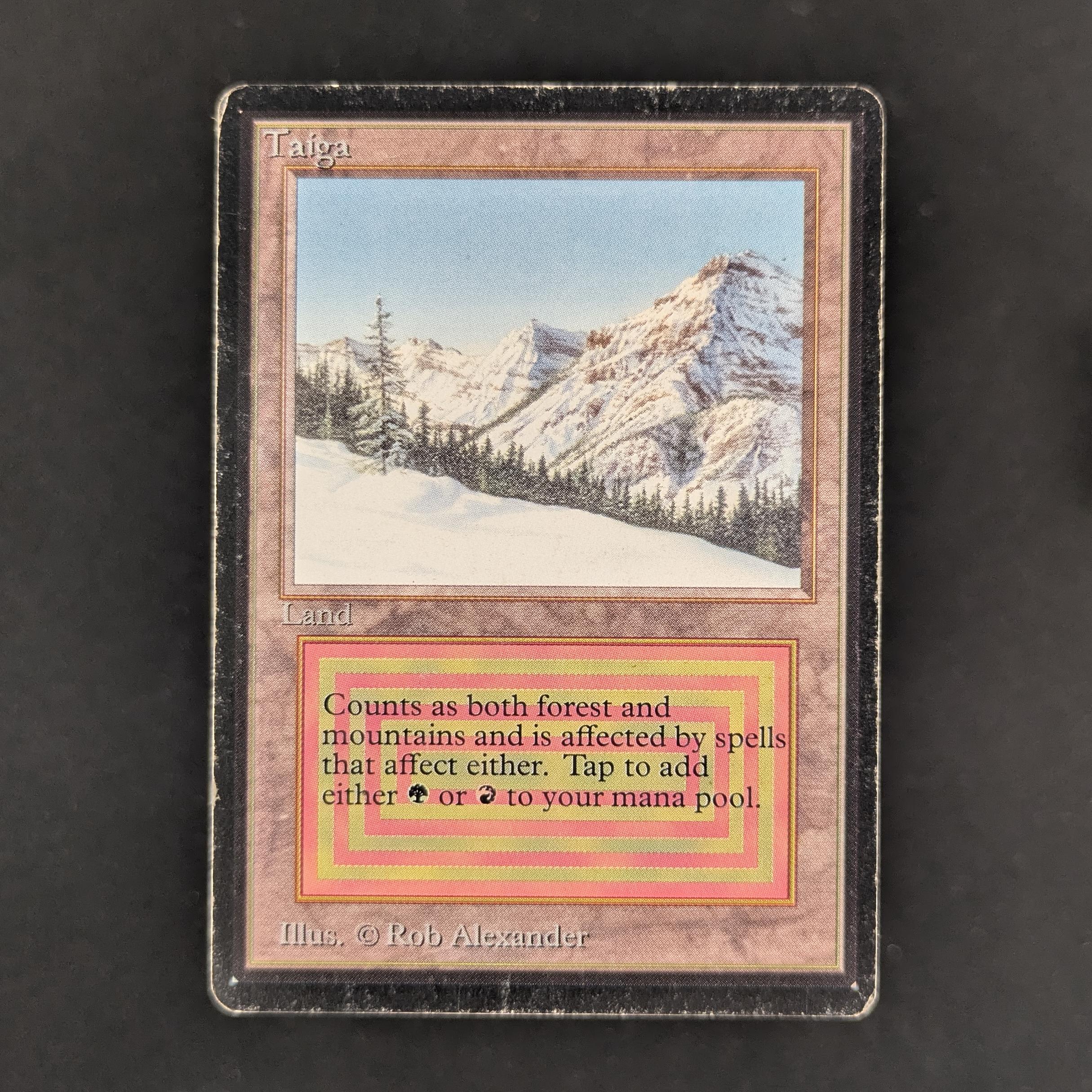 MTG Singles - Taiga - Beta - PL - 33469