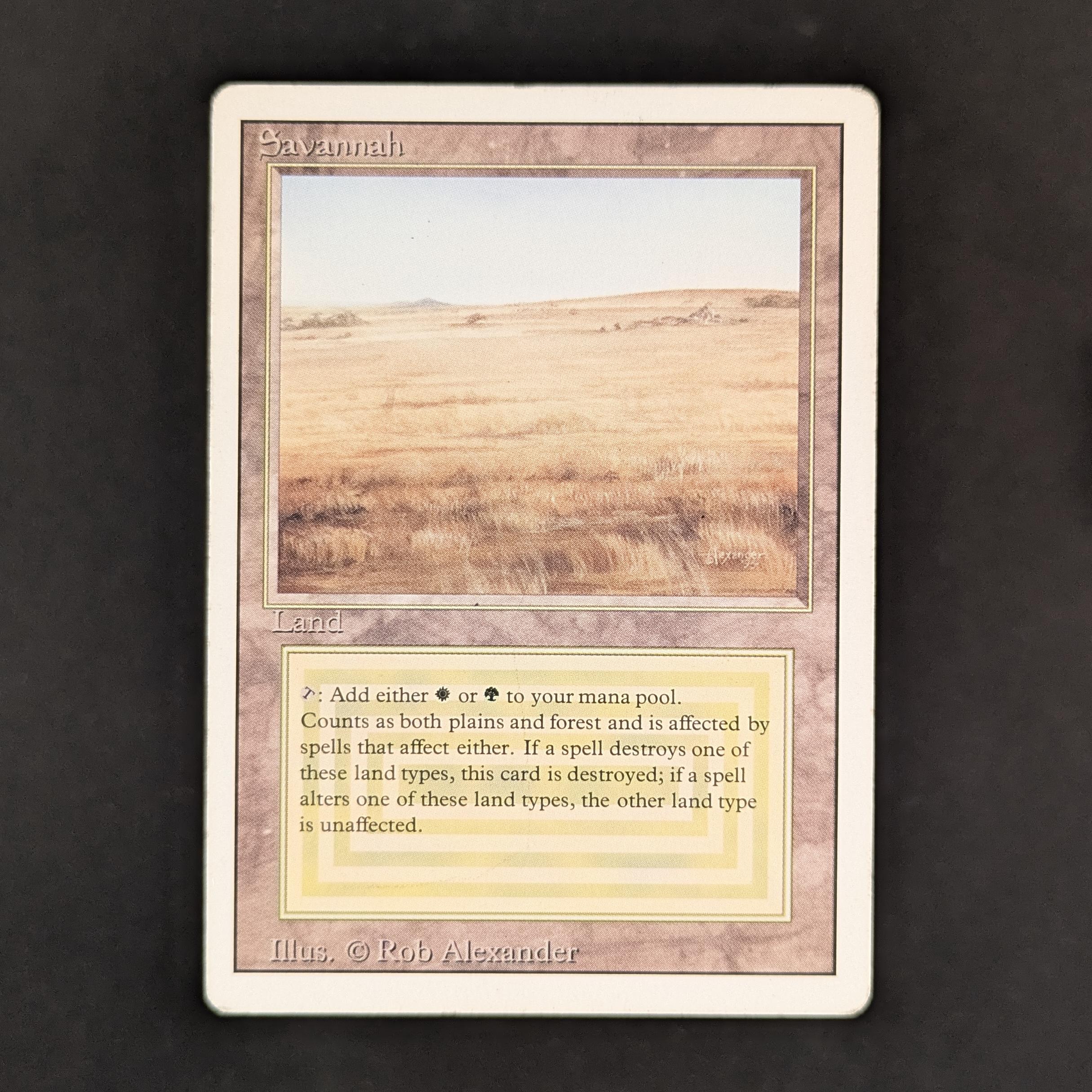 MTG 金枠 Savannah CE Collector's Edition MTG 金枠 Savannah CE