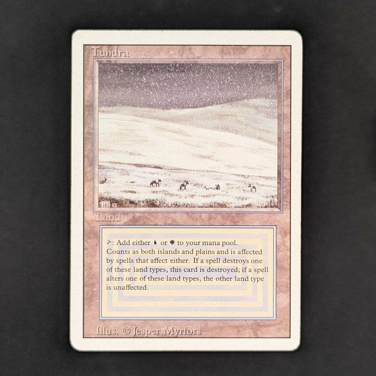 Tundra - Revised