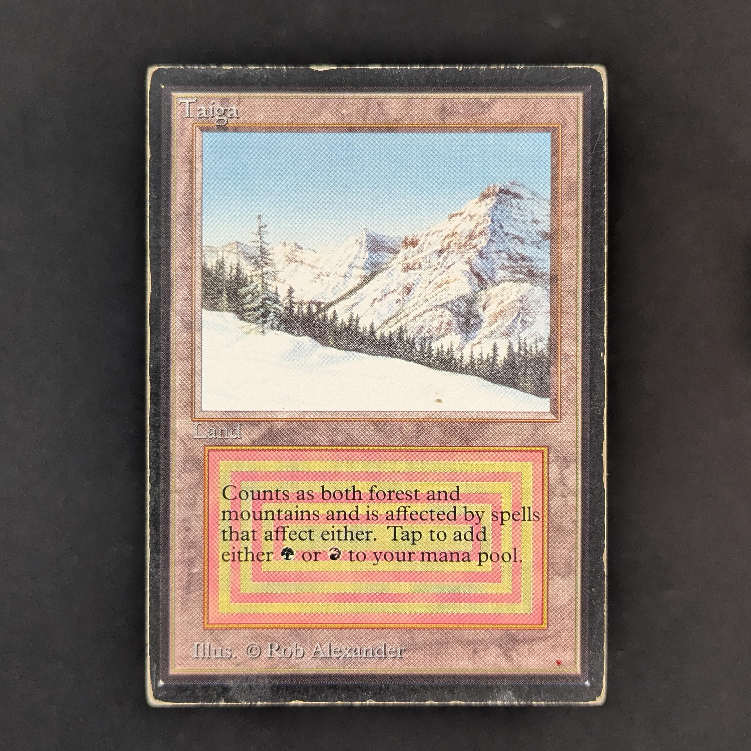 MTG Singles - Taiga - International Edition - PO - INKED - 33529