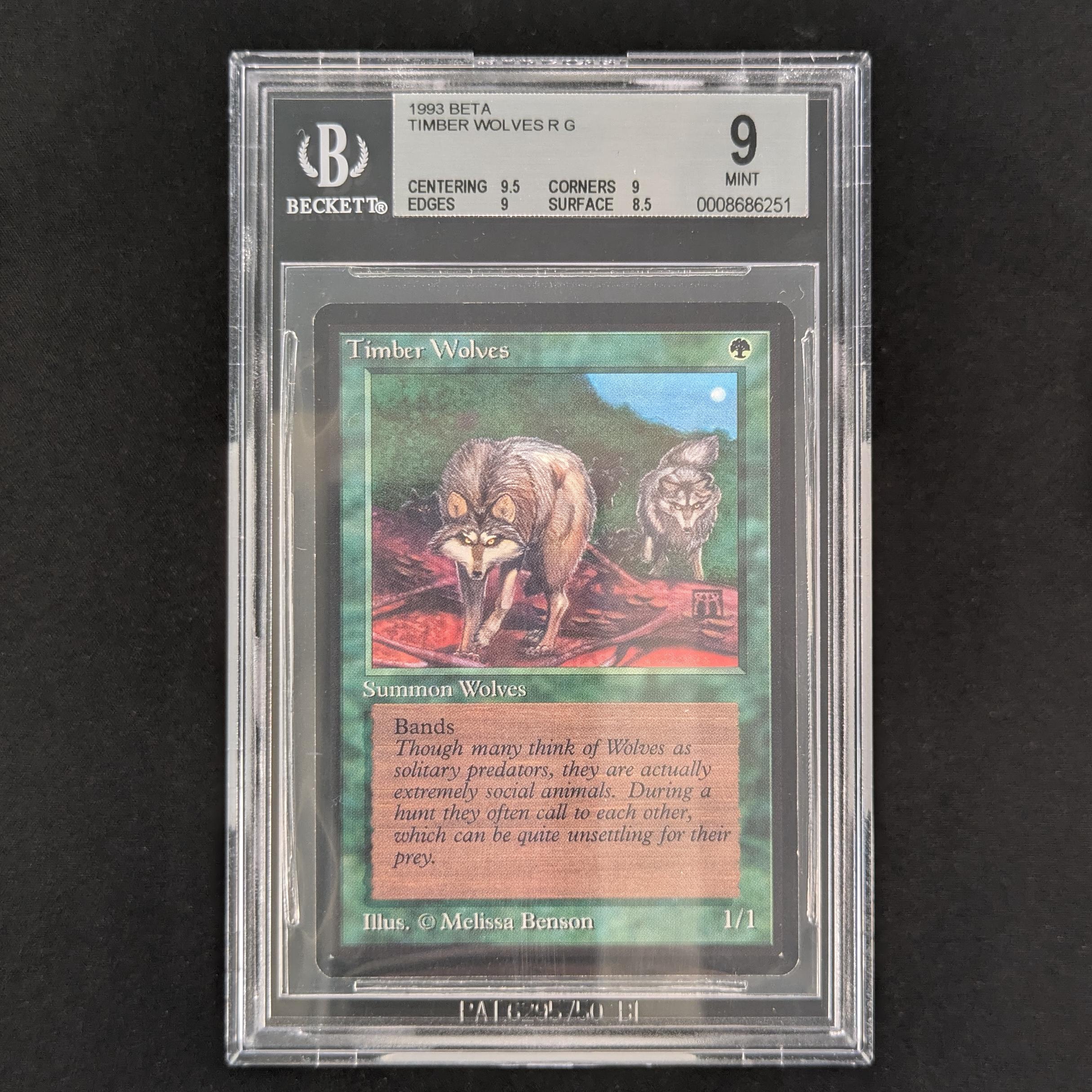Timber Wolves - Beta - English - BGS 9