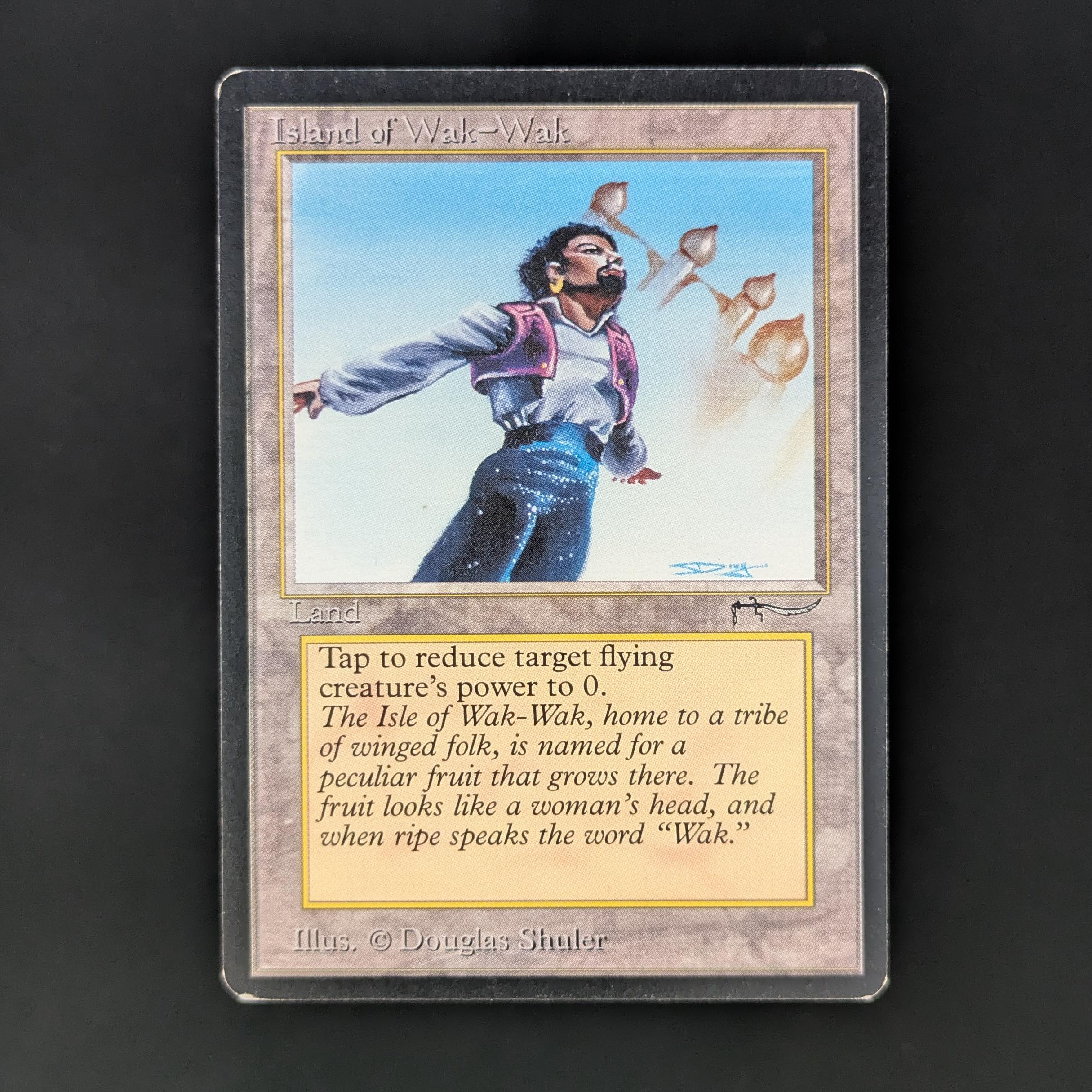 MTG Singles - Island of Wak-Wak - Arabian Nights - PL - BINDER DING - 33698