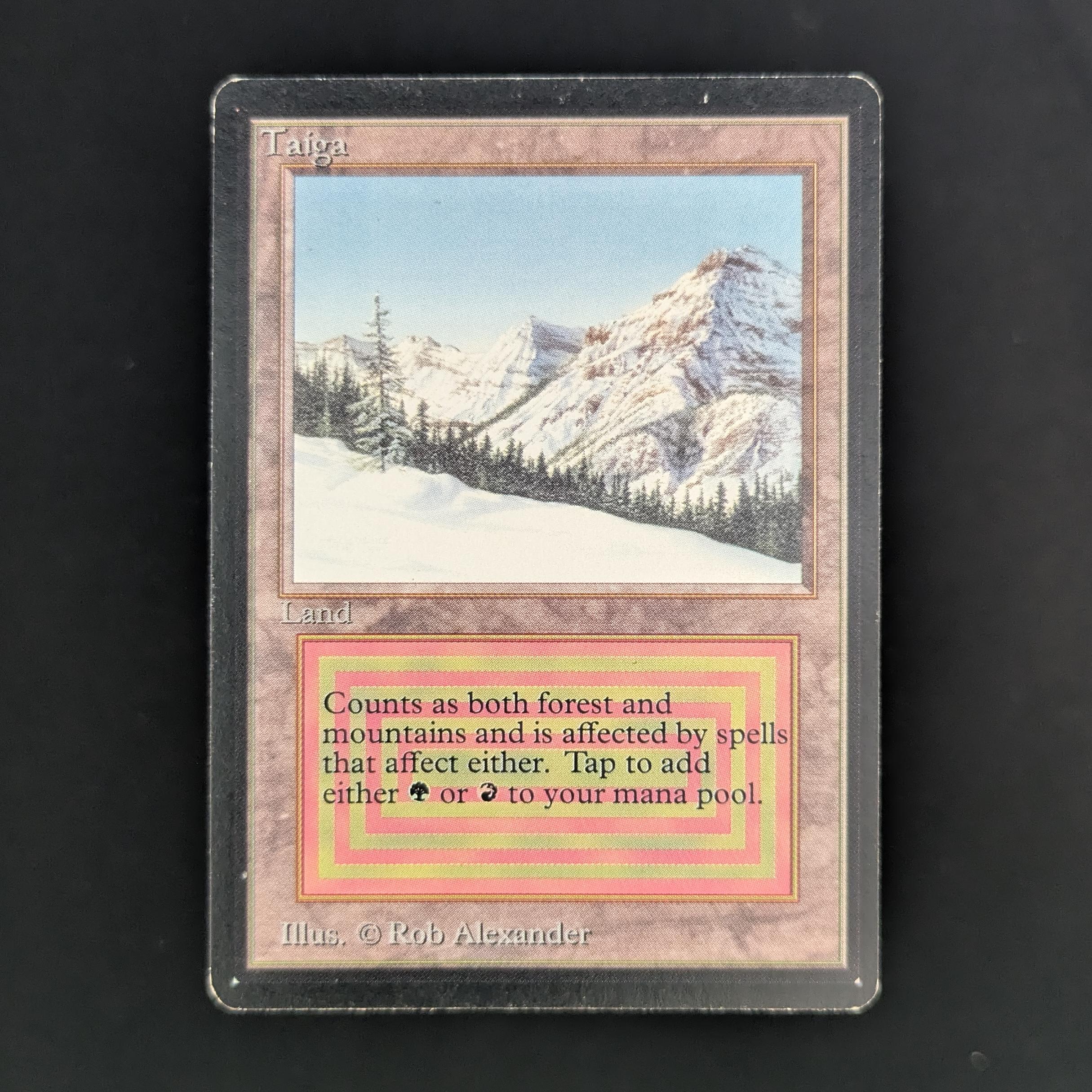 Taiga - Beta
