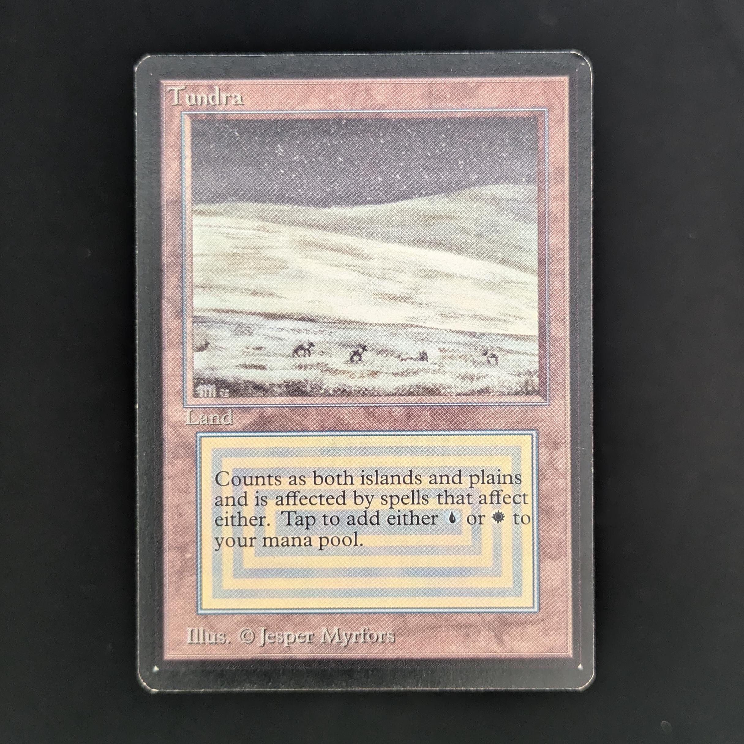 MTG Singles - Tundra - Beta - GD - 33760