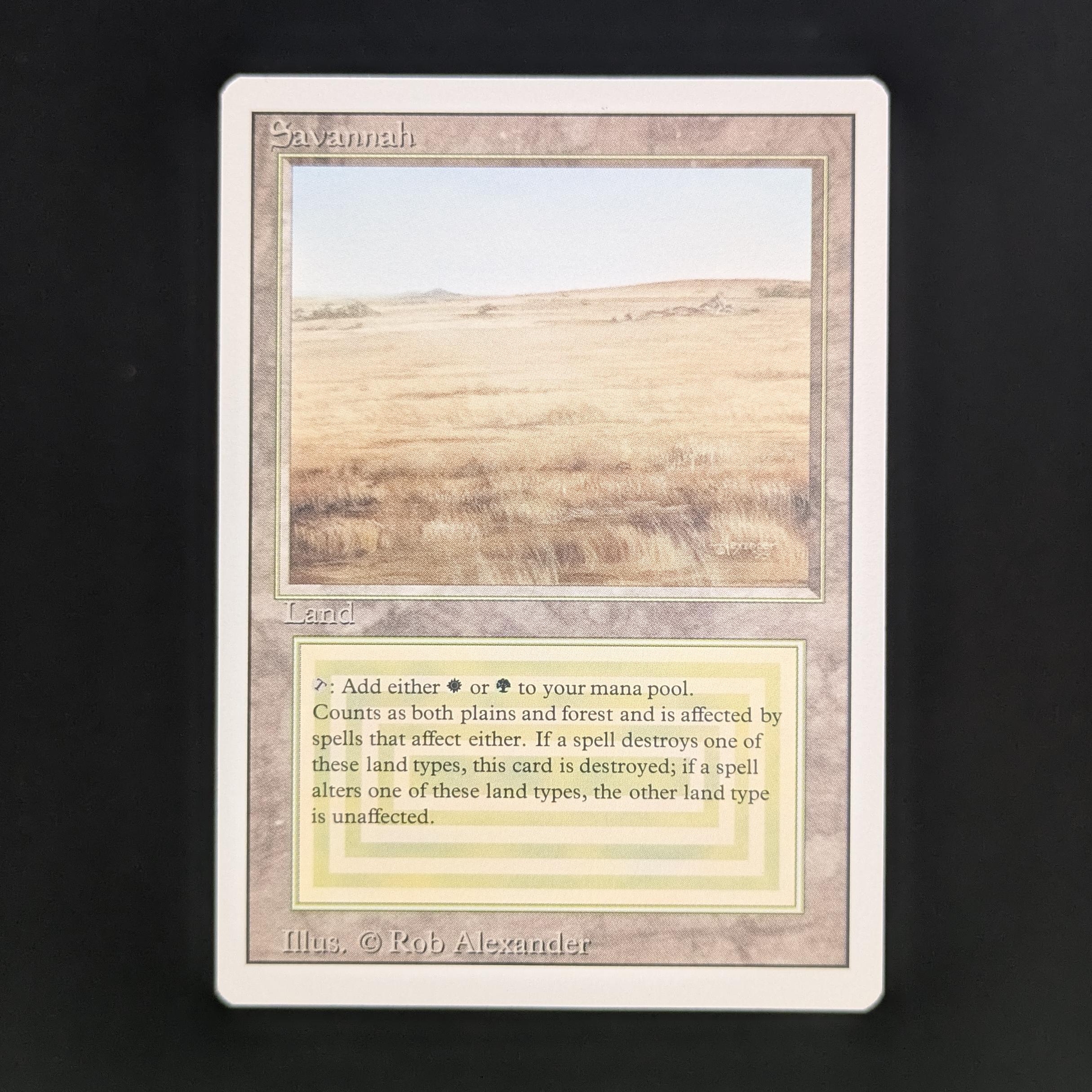Savannah - Revised