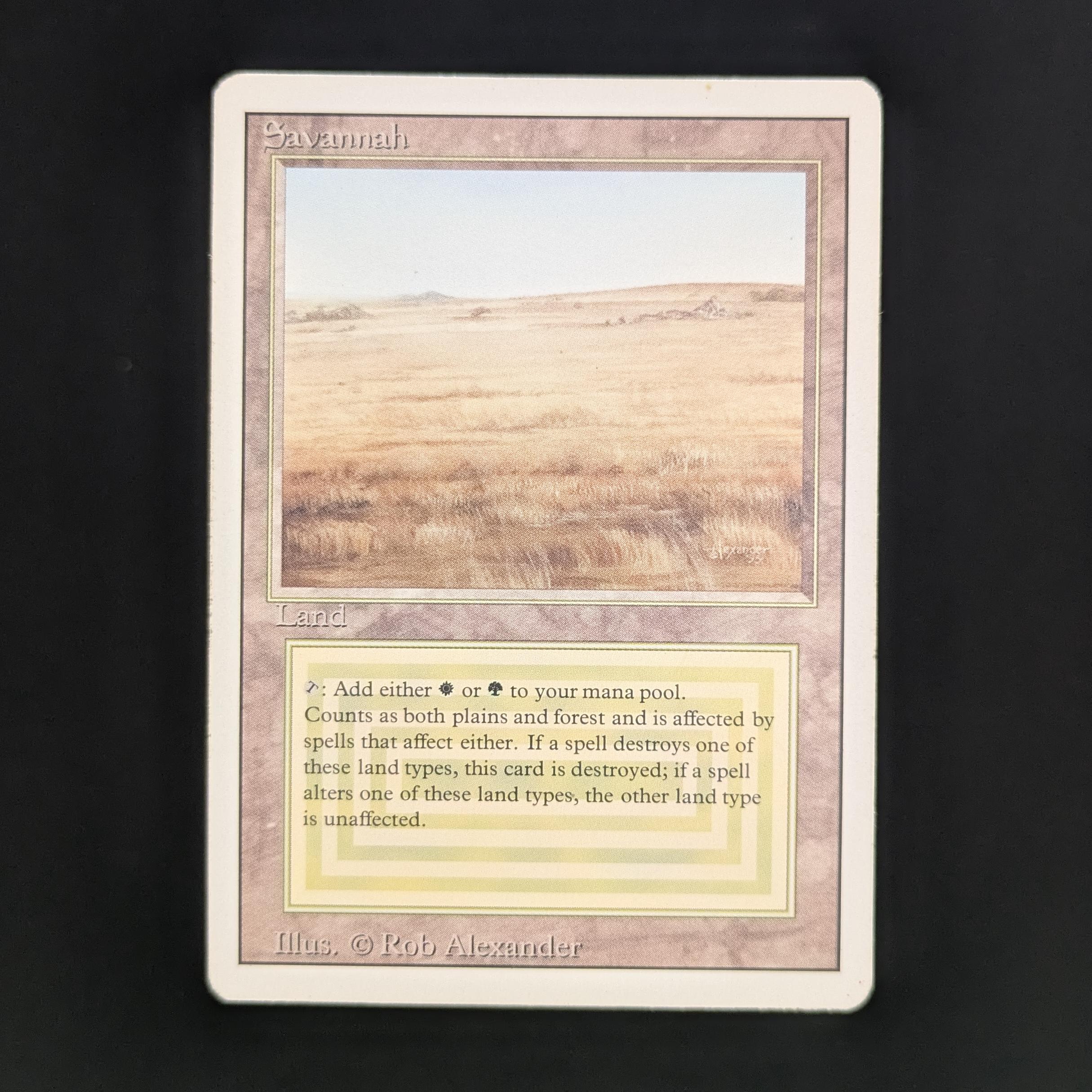 Savannah - Revised