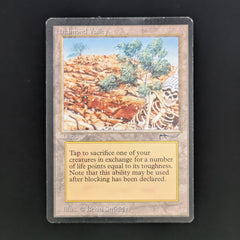 Diamond Valley - Arabian Nights