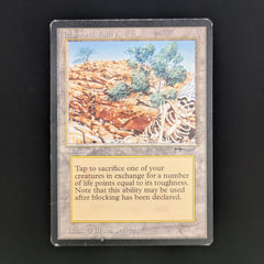 MTG Diamond Valley アラビアンナイト ARN 1枚 マジック Diamond Valley - Arabian Nights