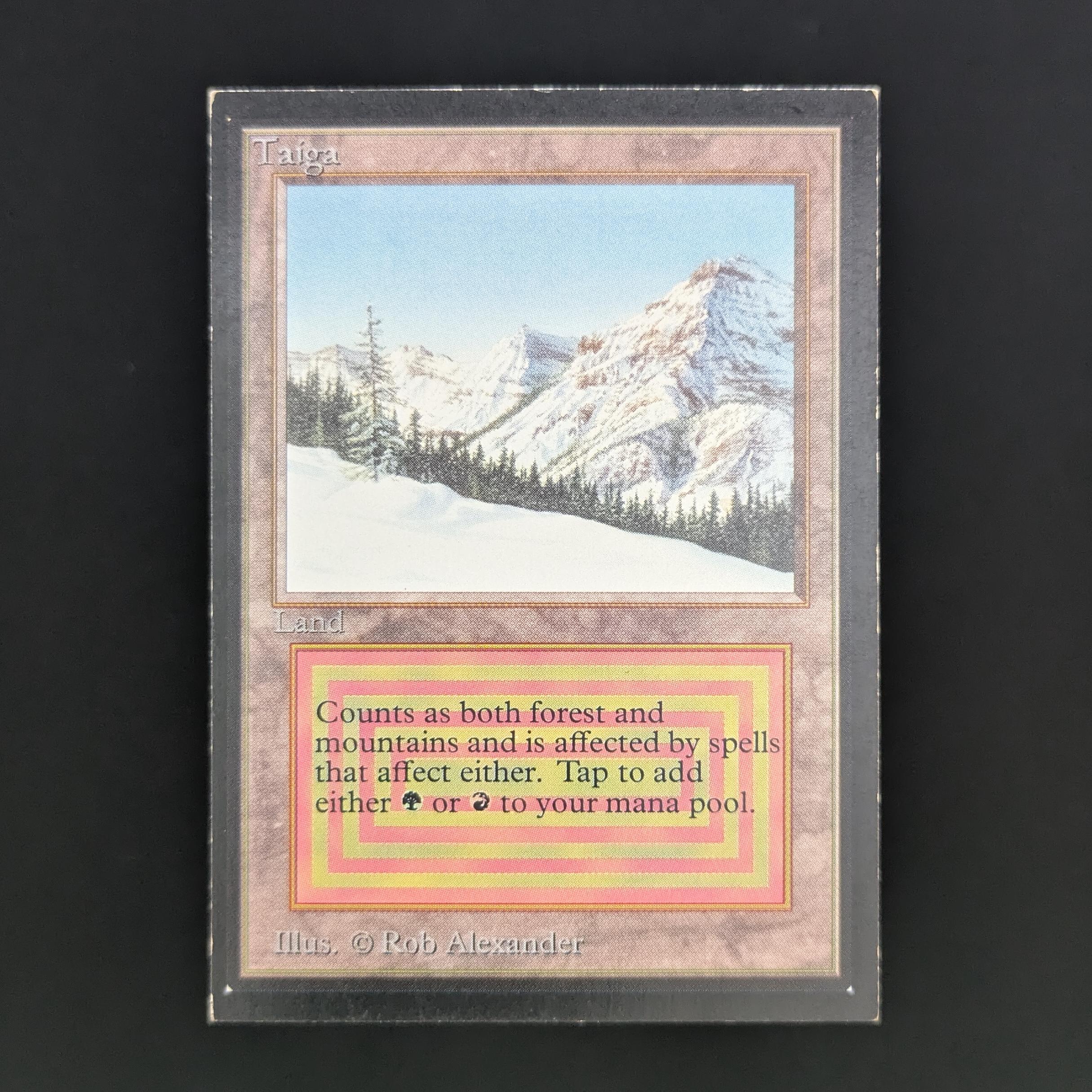 MTG Singles - Taiga - International Edition - PL - 34045
