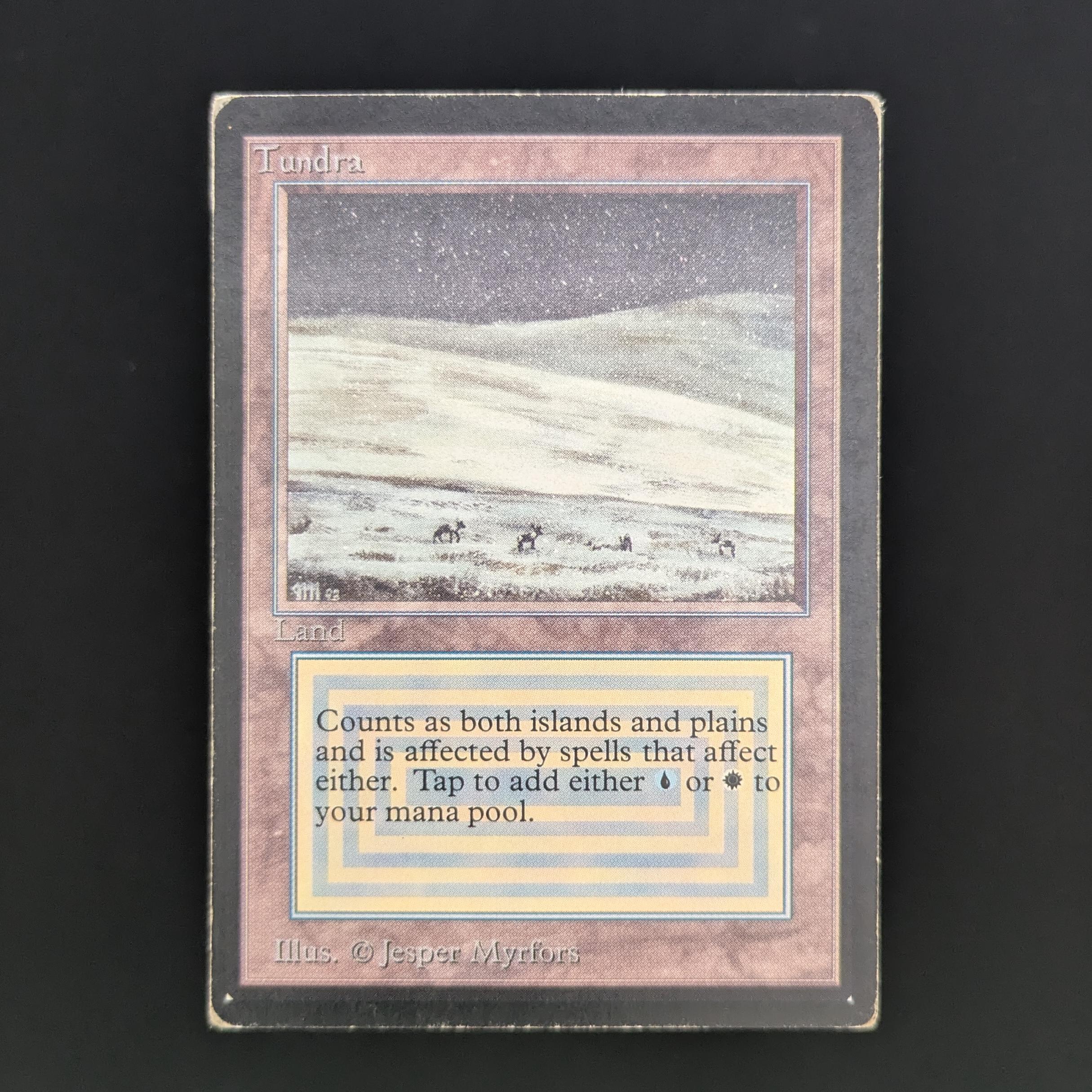 MTG Singles - Tundra - International Edition - PO - 34047