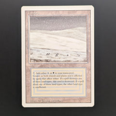 MTG Revised Tundra 英語版 CGC8鑑定品 3ED Tundra - Revised