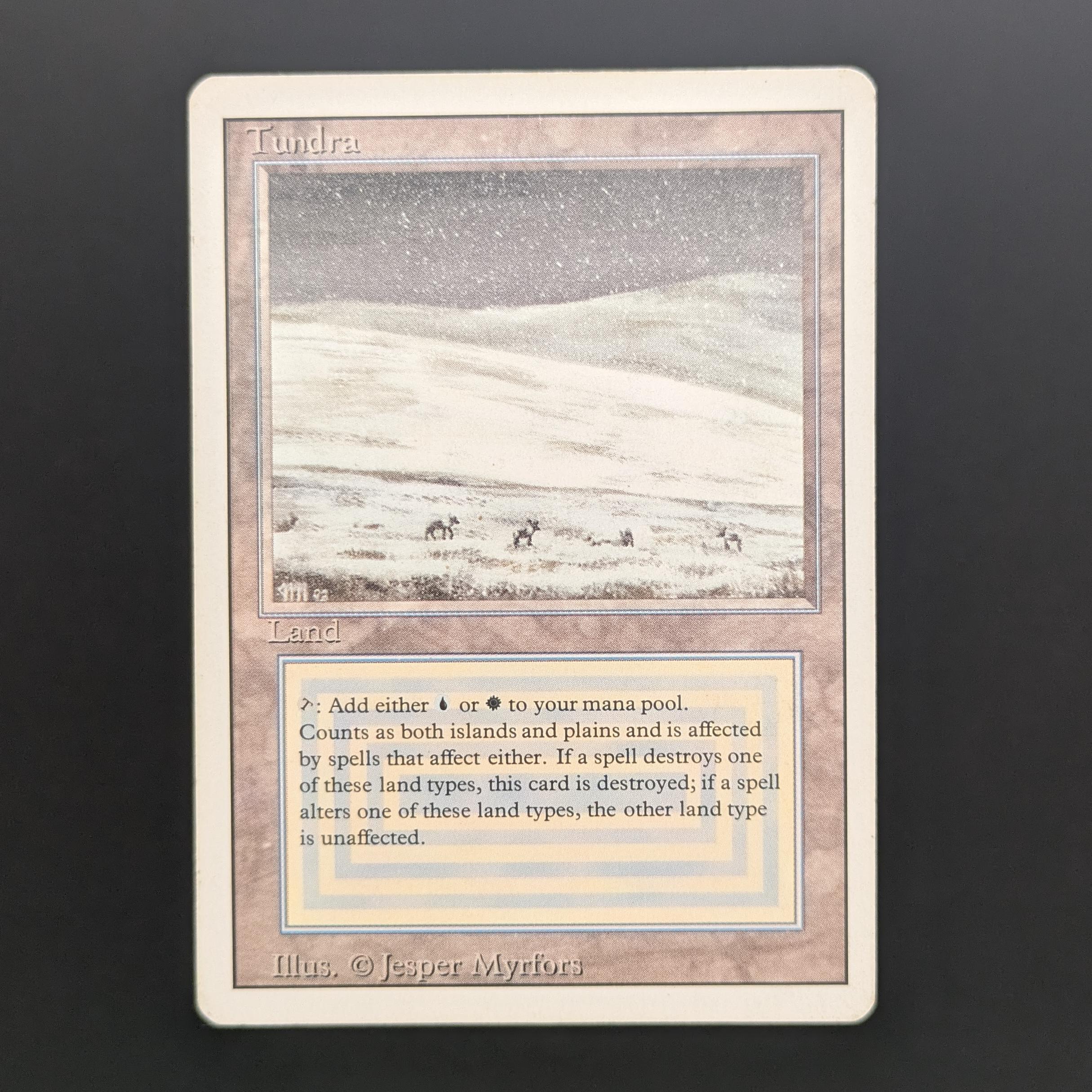 MTG Revised Tundra 英語版 CGC8鑑定品 3ED Tundra - Revised