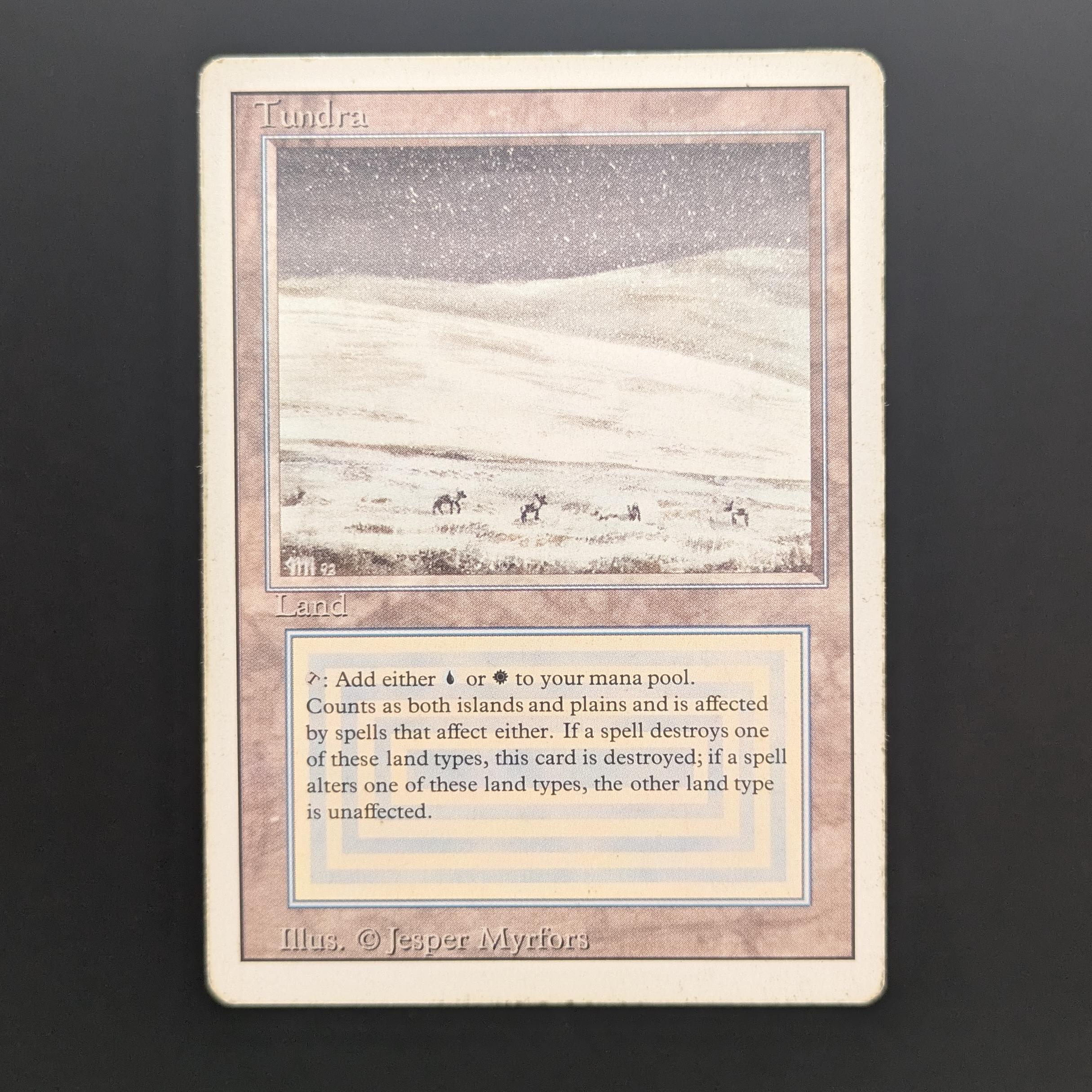 MTG Singles - Tundra - Revised - PL - 34108