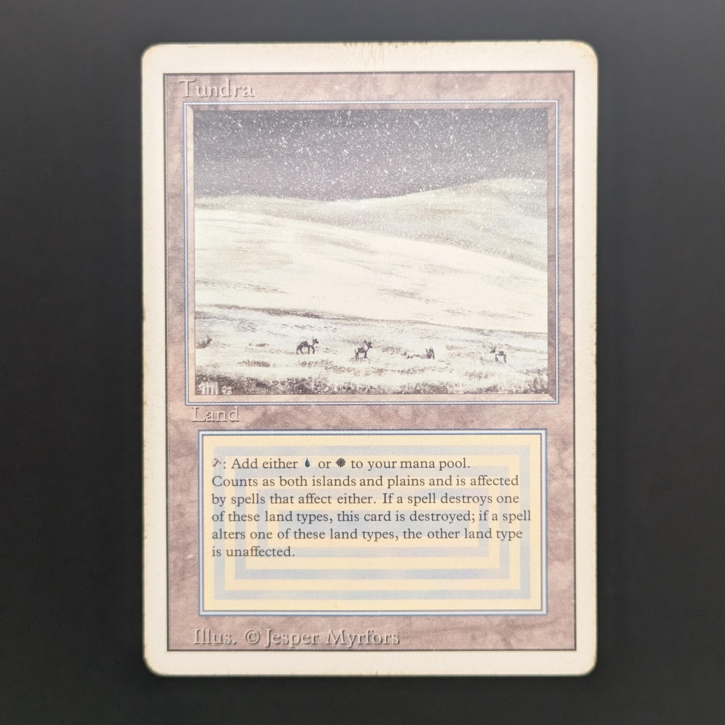 Tundra - Revised