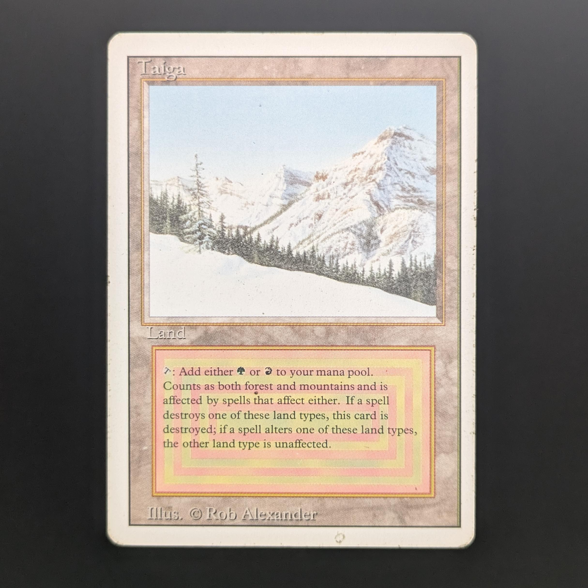 MTG Singles - Taiga - Revised - PL - 34140