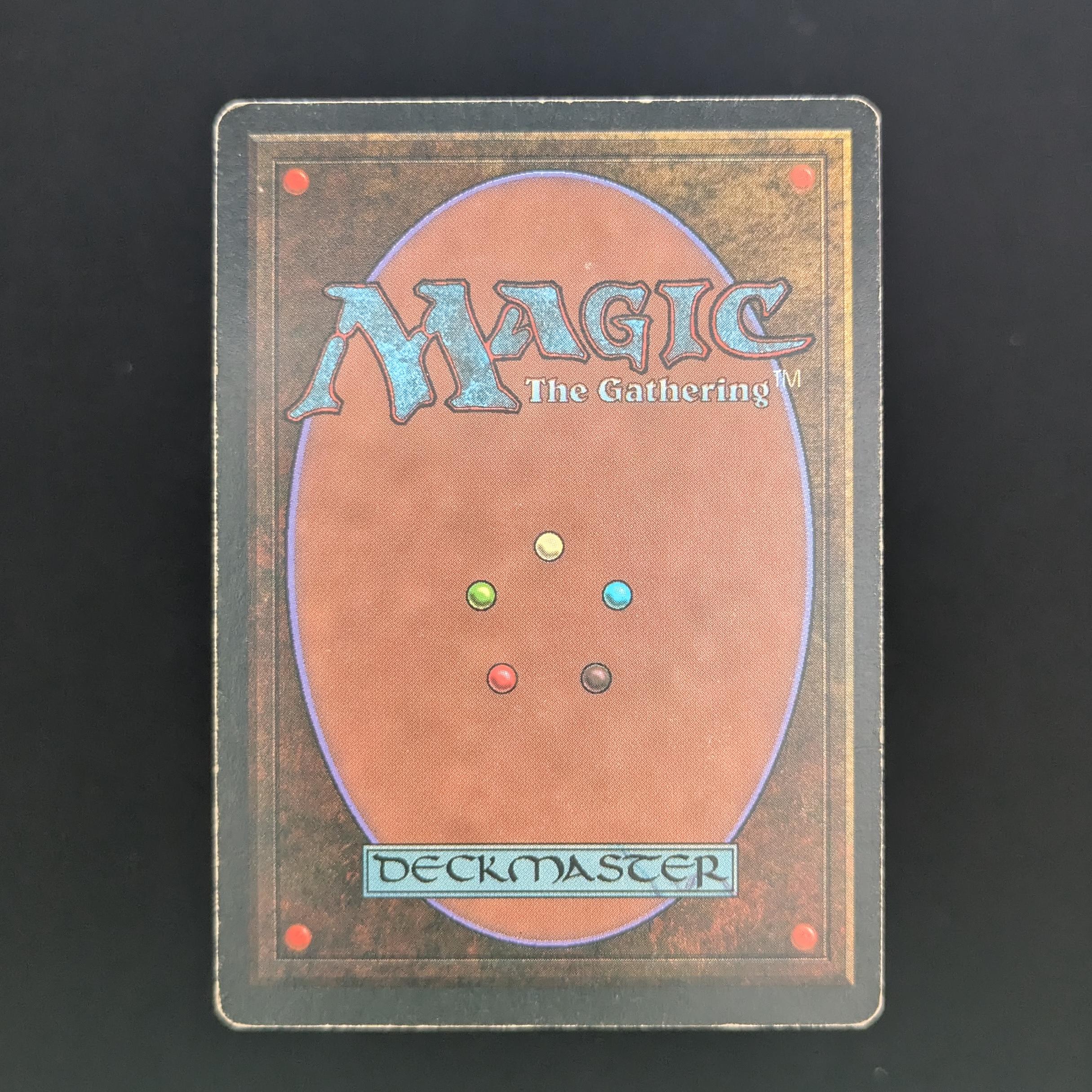 MTG Singles - Taiga - Foreign White Bordered - 