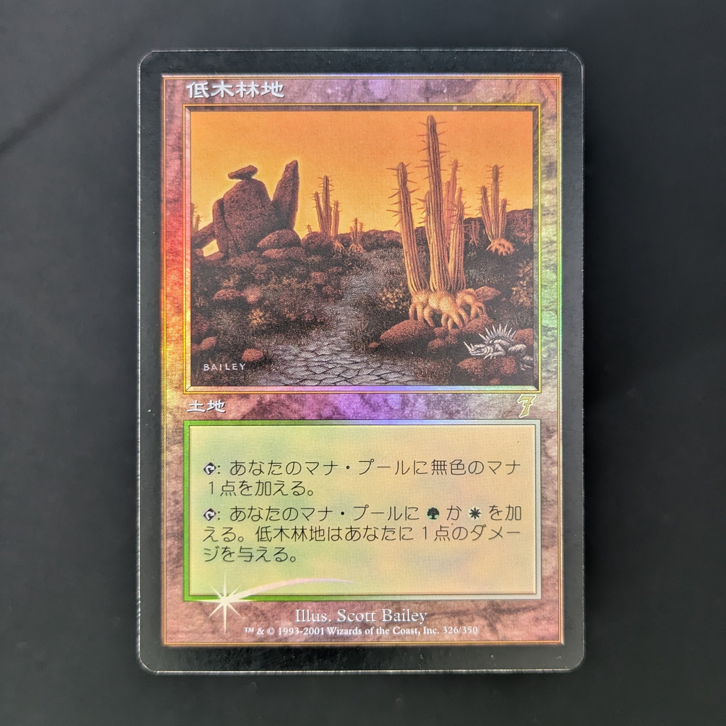 [FOIL] Windswept Heath - Onslaught - Japanese - GD