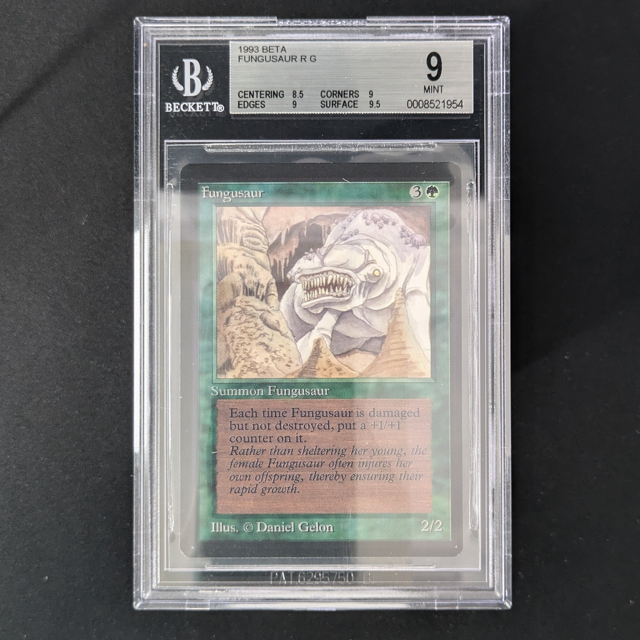 Fungusaur - Beta - English - BGS 9