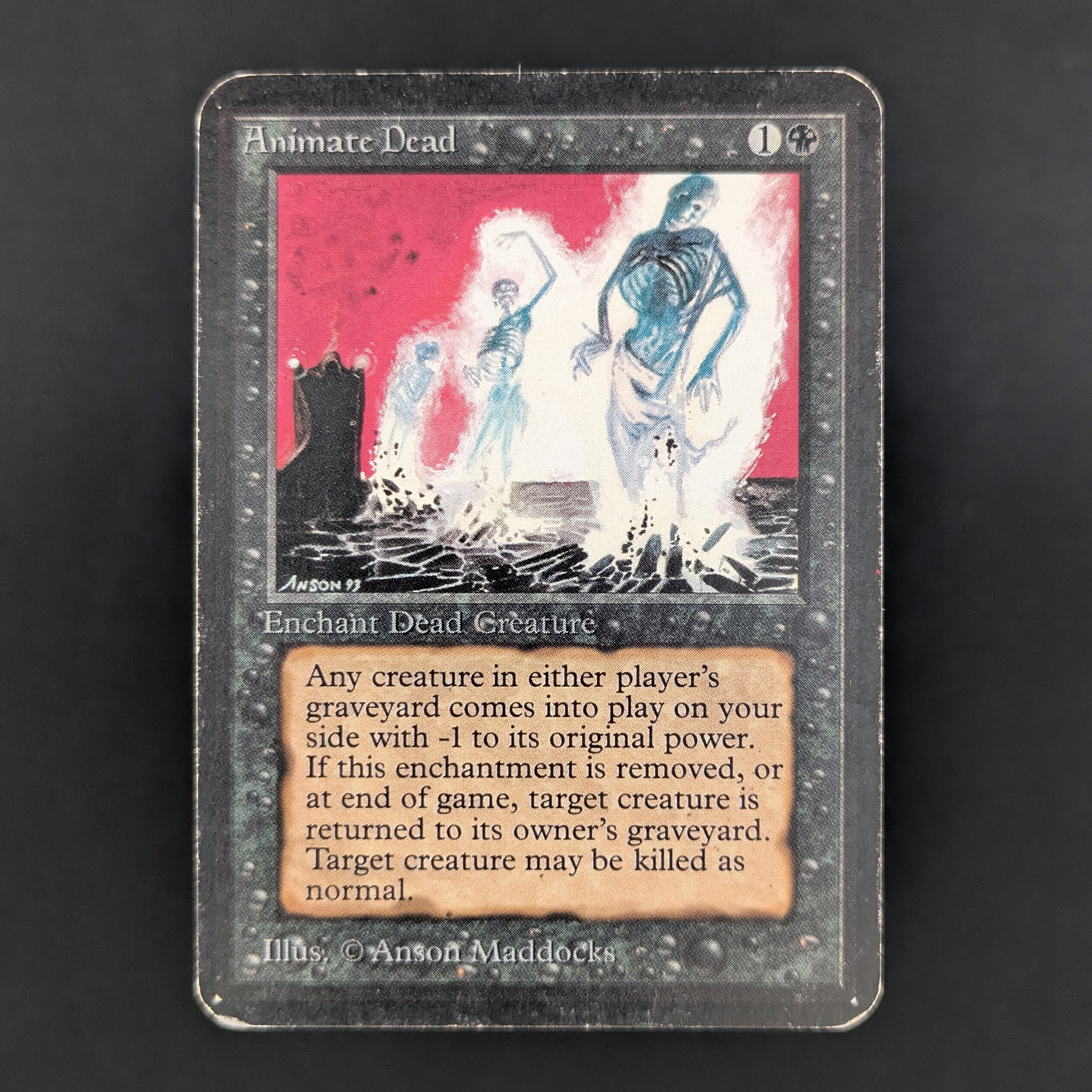 MTG Singles - Animate Dead - Alpha - PL - 34841