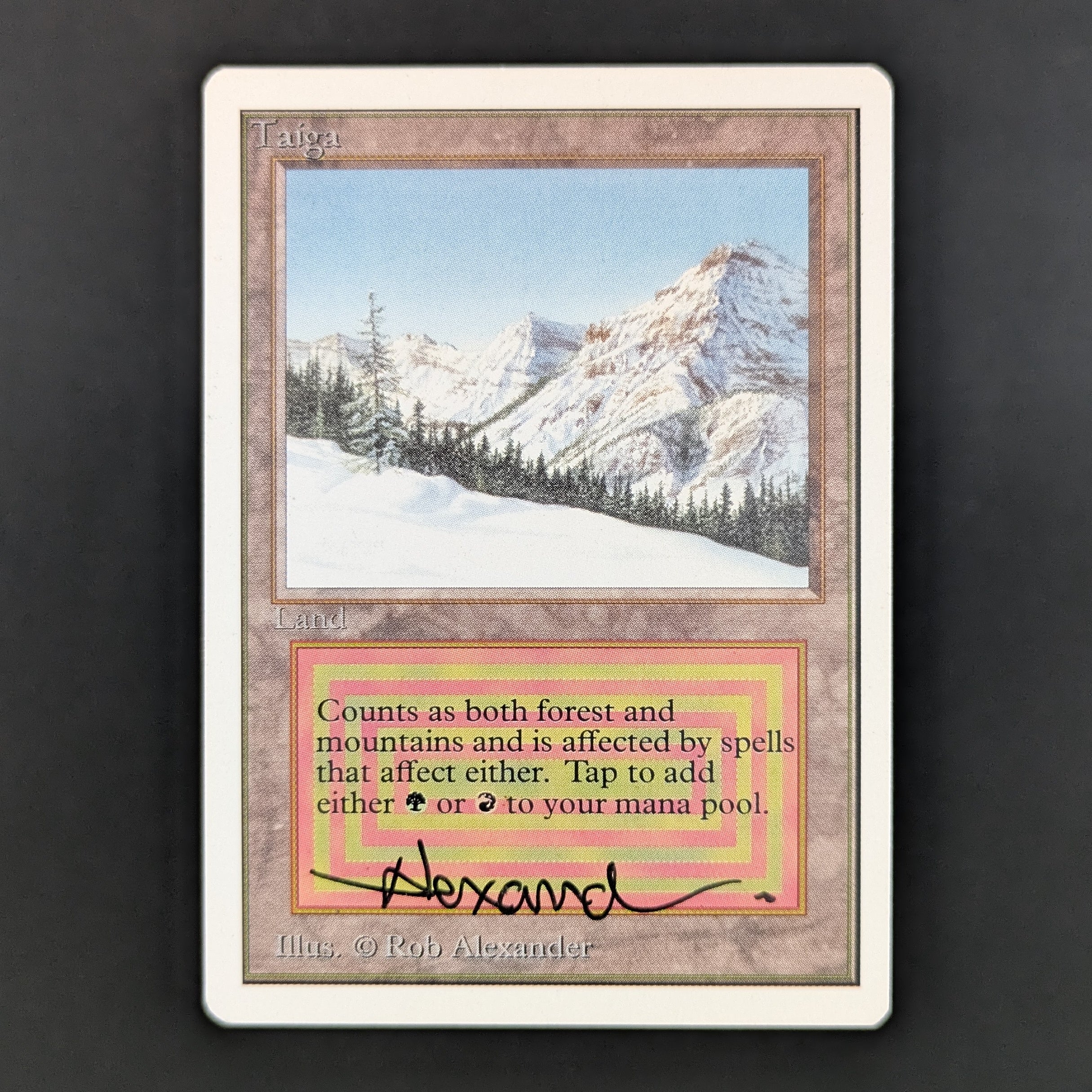 MTG Singles - Taiga - Unlimited - GD - SIGNED, ROLLERLINES - 34879