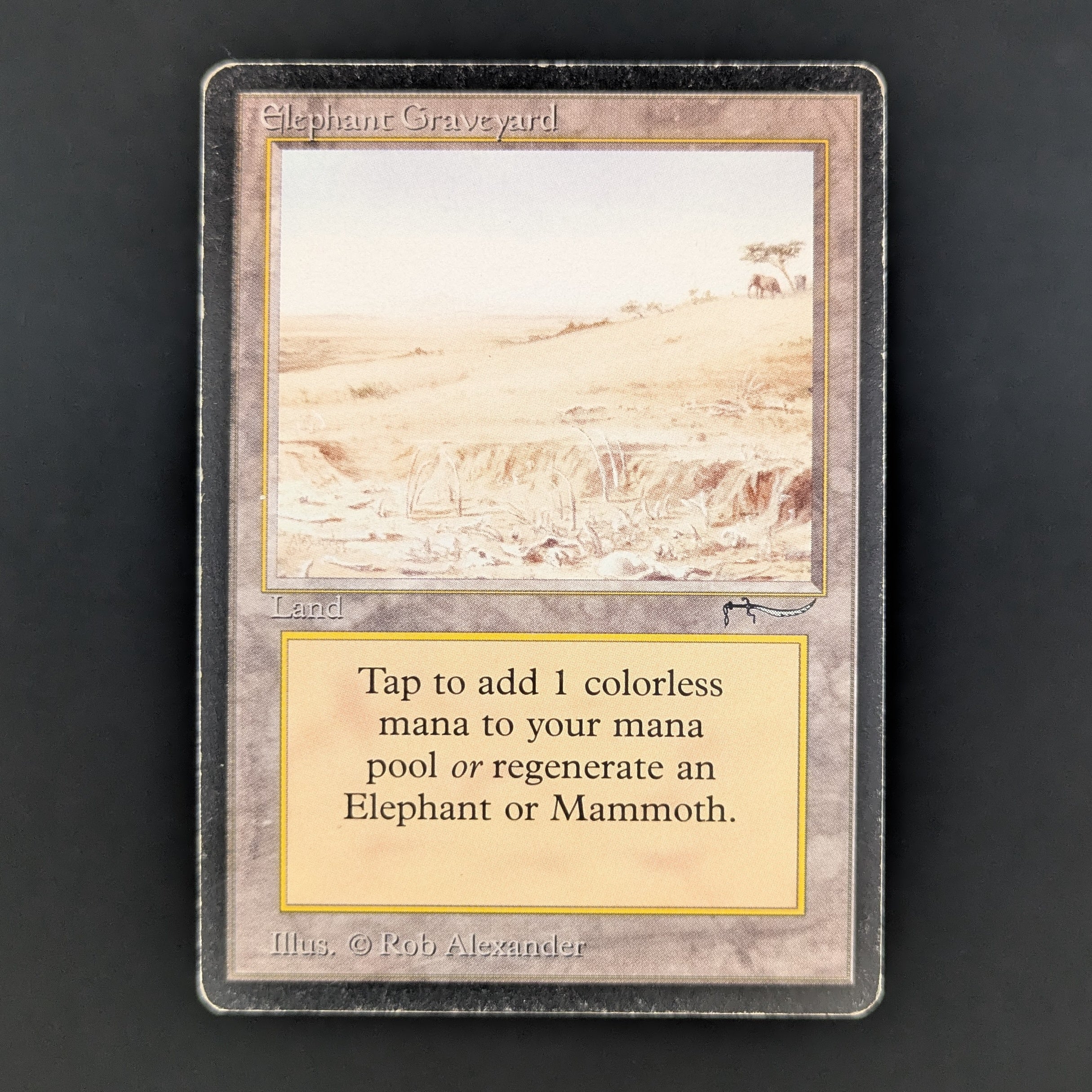 MTG Singles - Elephant Graveyard - Arabian Nights - PL - 34916