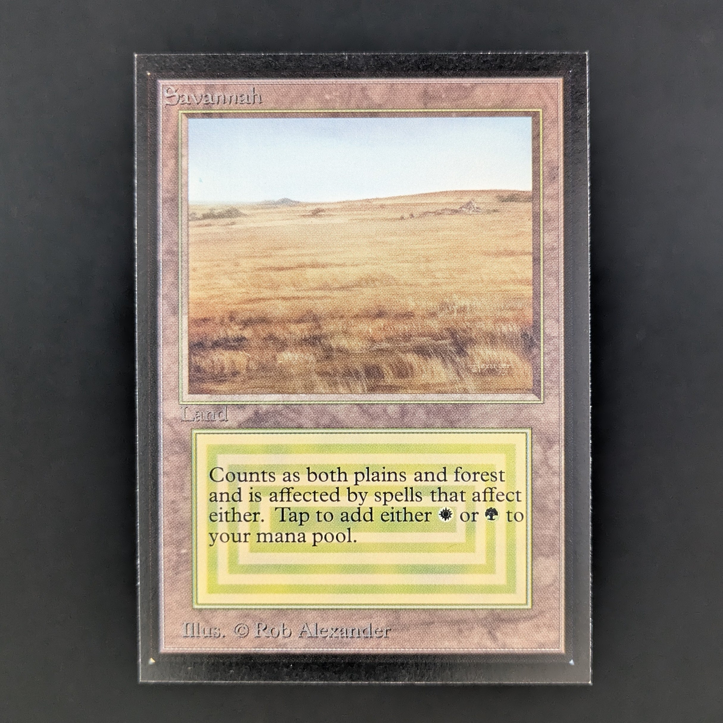 MTG Singles - Savannah - International Edition - NM - 34932