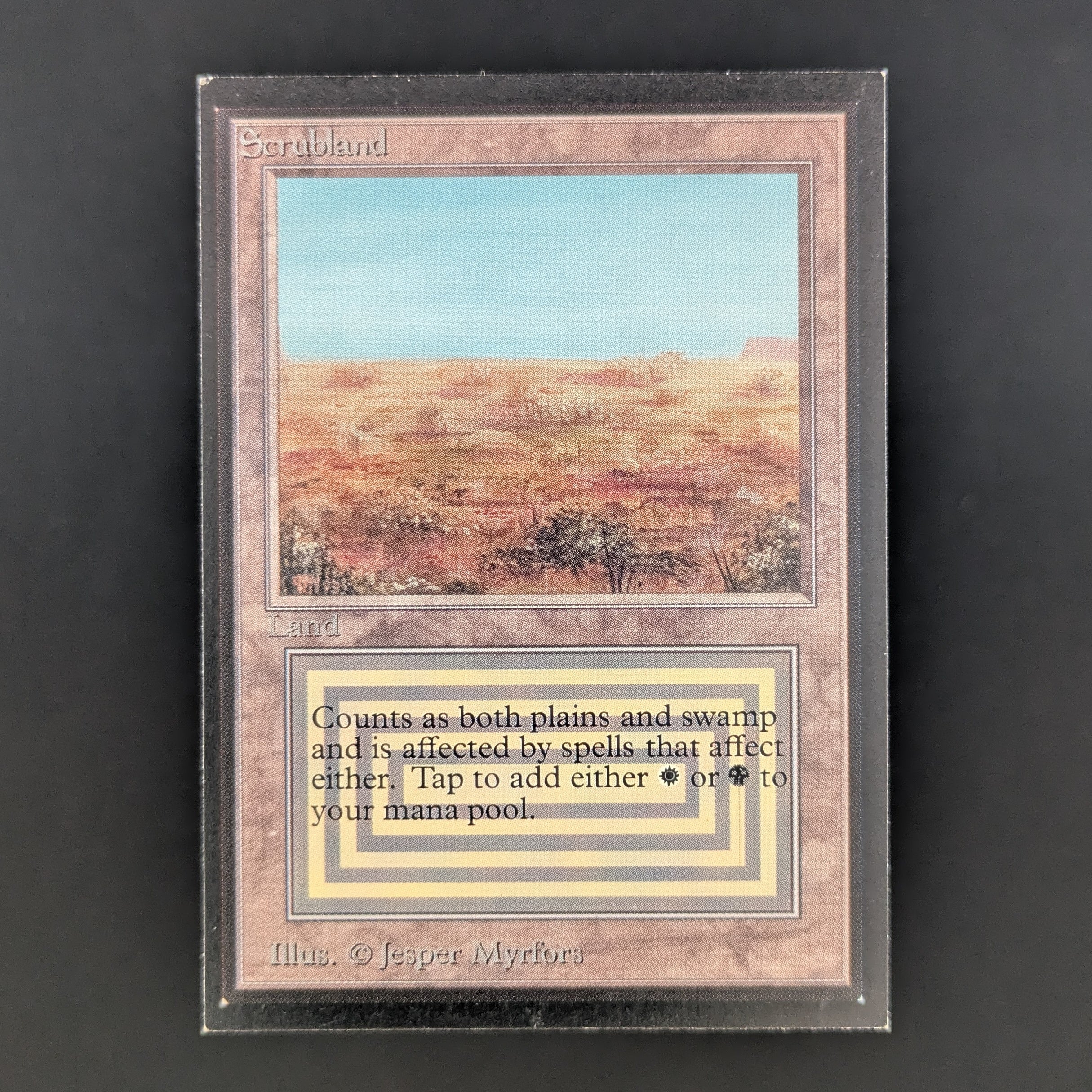 MTG Singles - Scrubland - International Edition - GD - 34934