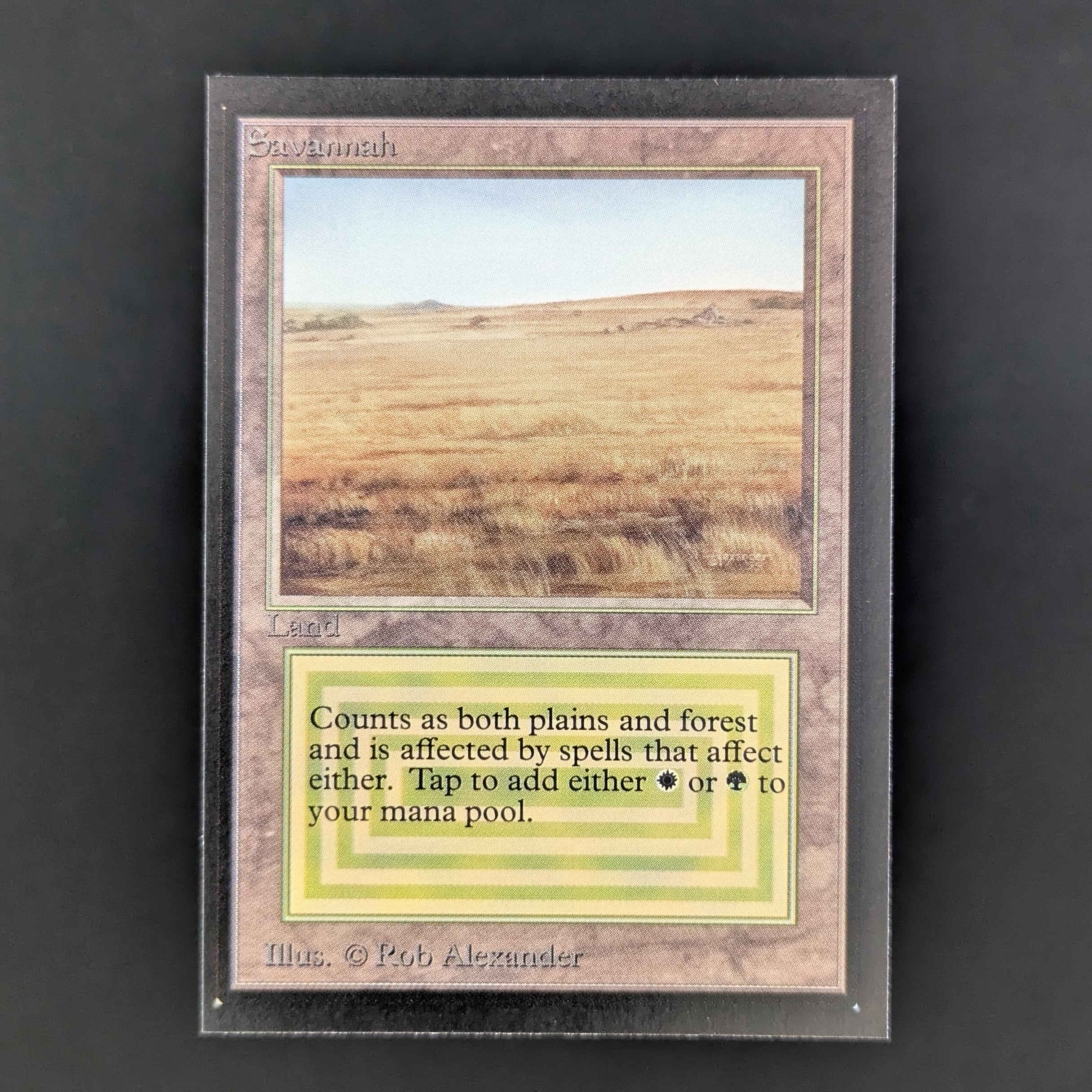 MTG Singles - Scrubland - Collectors' Edition - NM - 34948