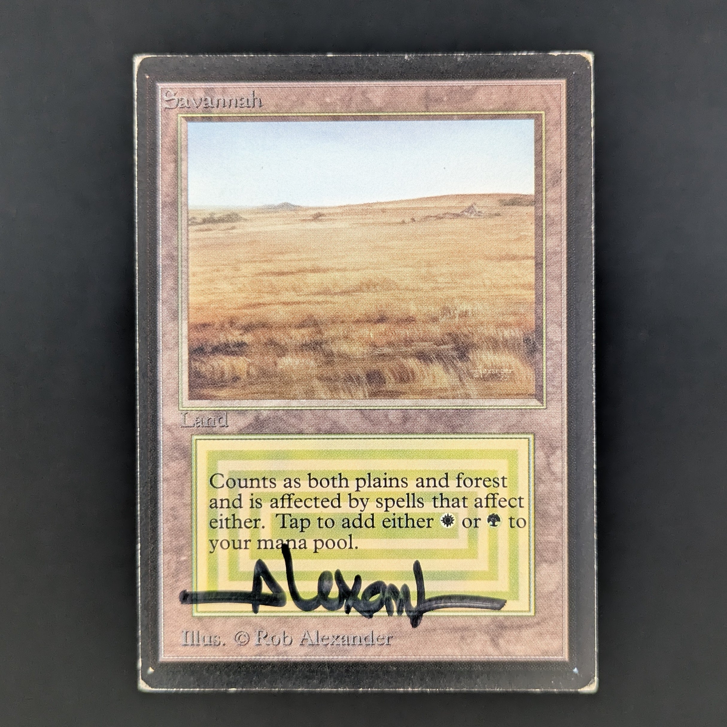 MTG Singles - Savannah - Collectors' Edition - PL - SIGNED - 34949