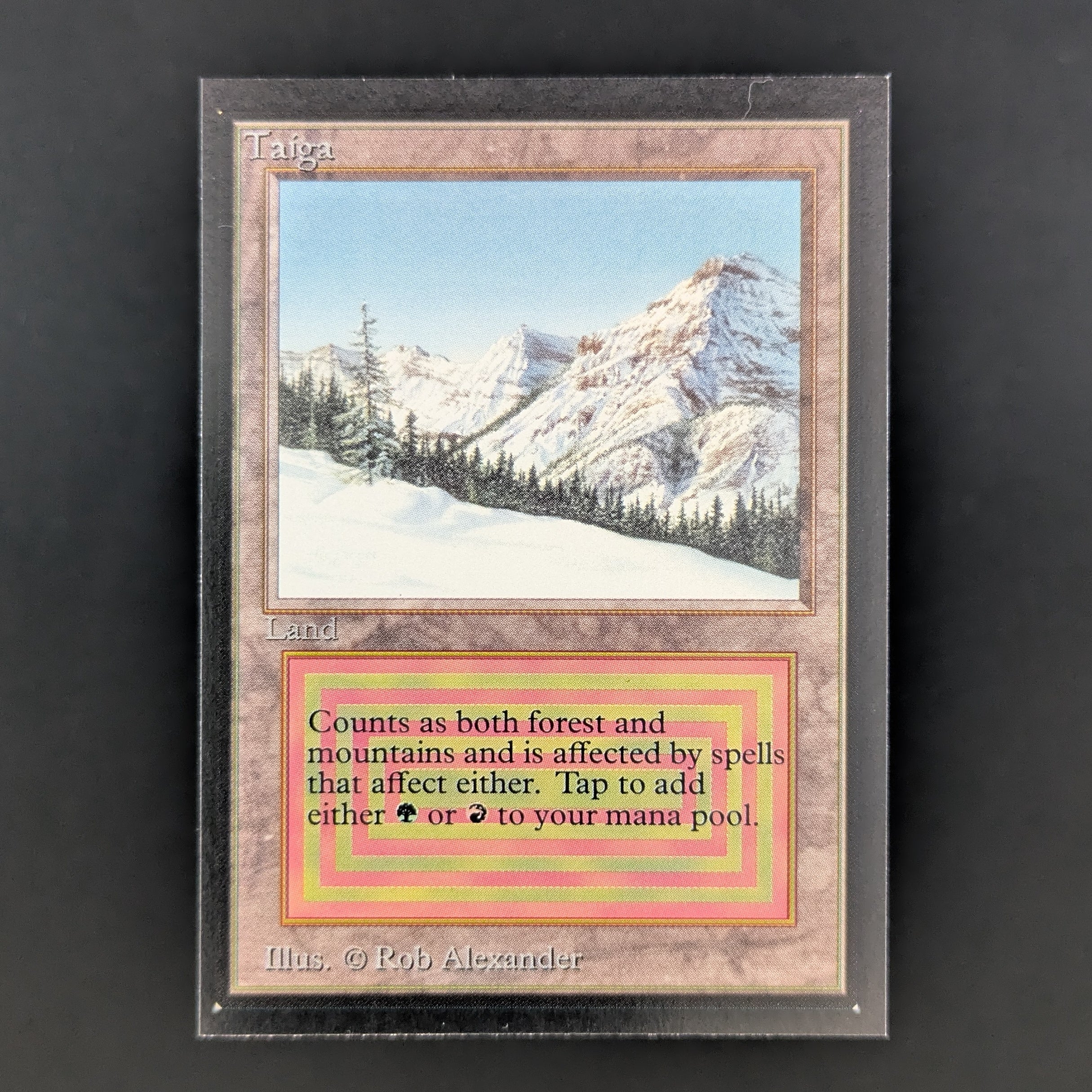 MTG Singles - Taiga - Collectors' Edition - NM - 34953