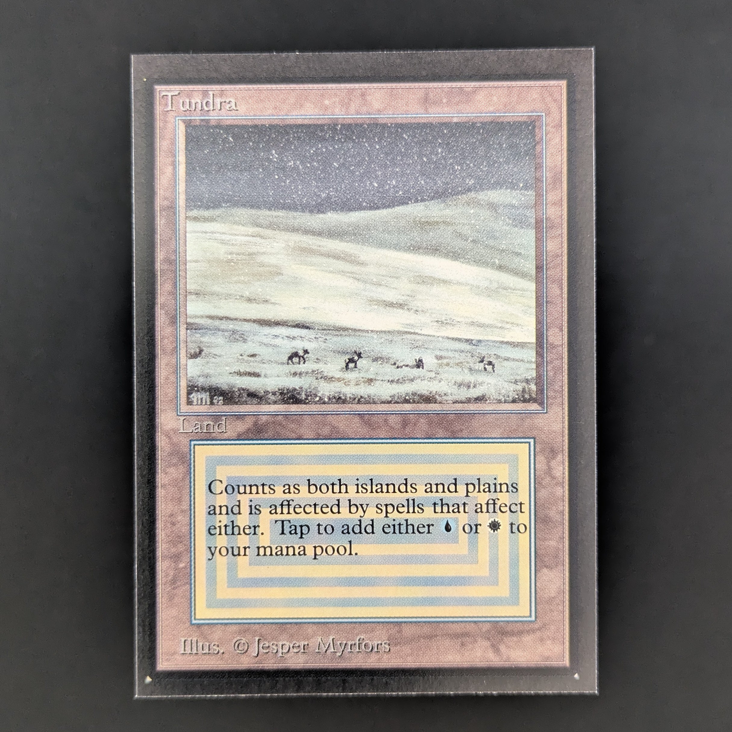 MTG Singles - Tundra - Collectors' Edition - NM - 34954