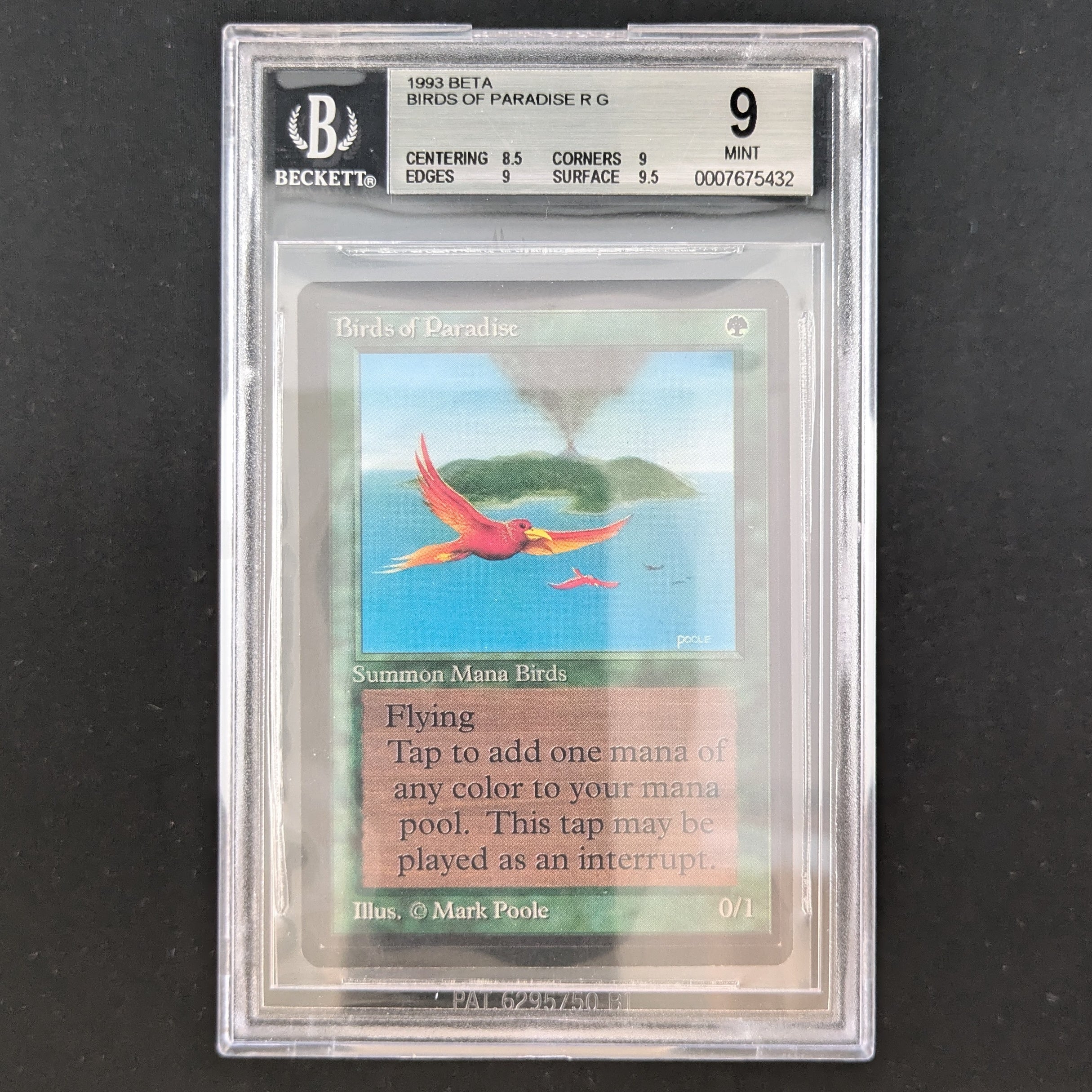Birds of Paradise - Beta - English - BGS 9