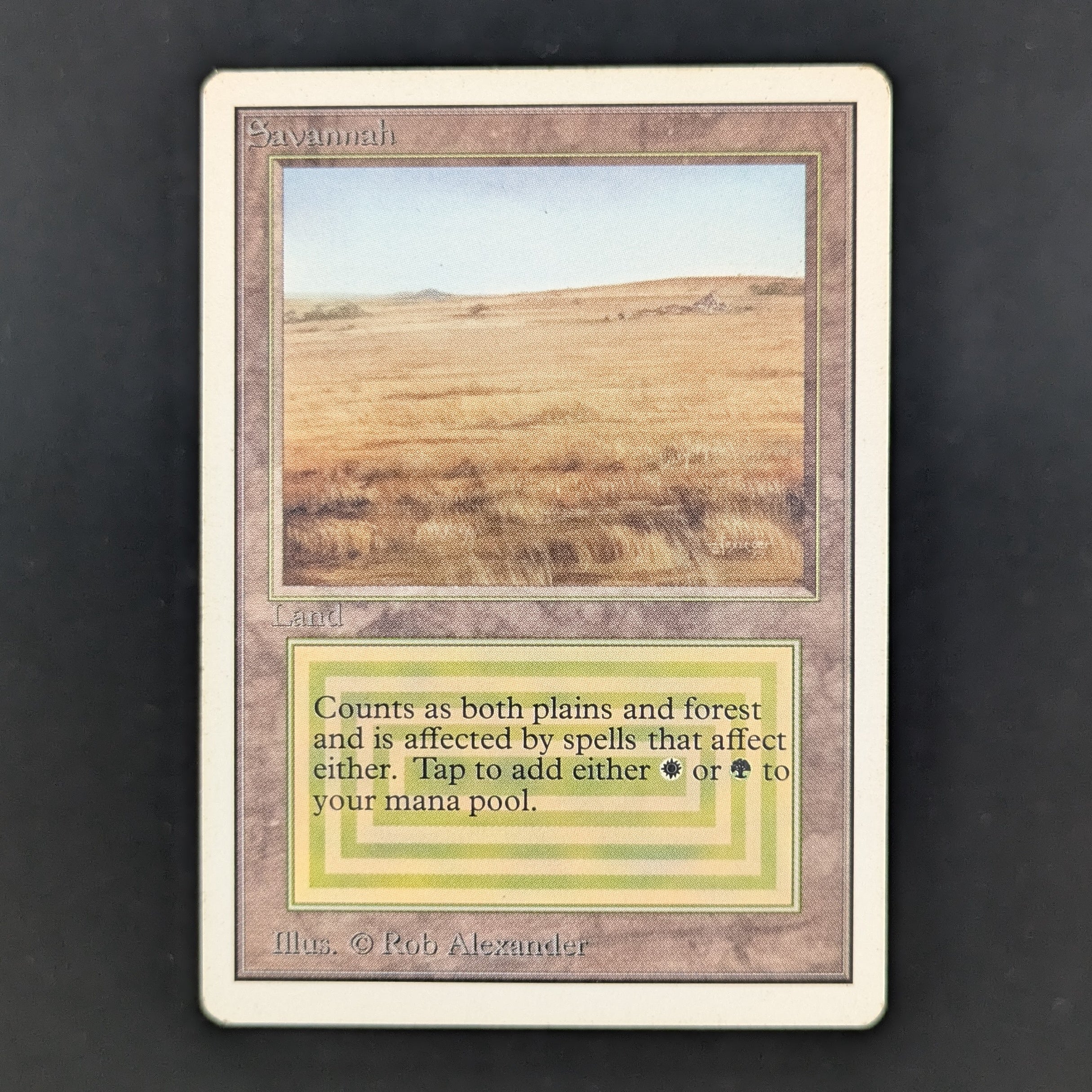 MTG Singles - Savannah - Unlimited - LP - 35116
