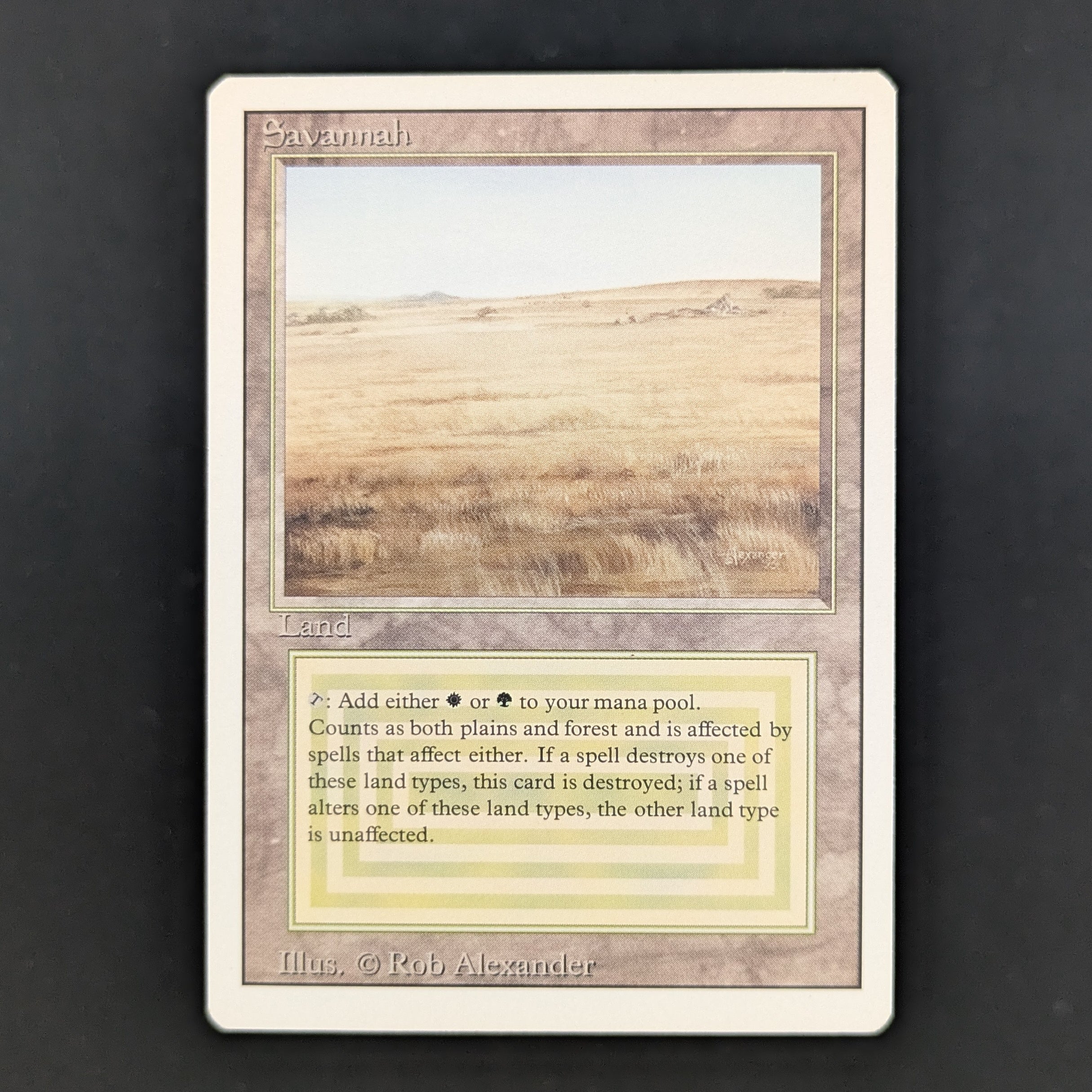 Savannah - Revised