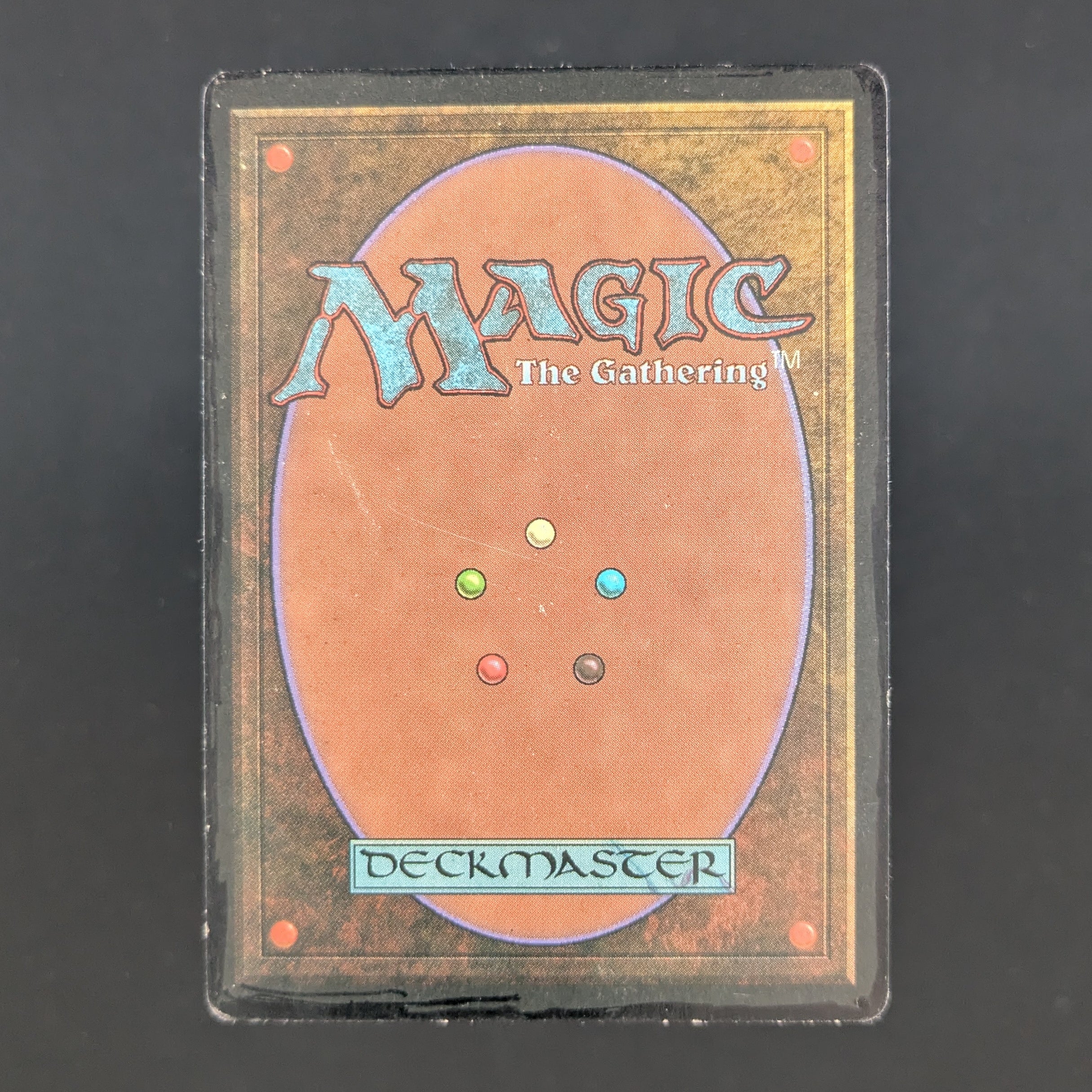 MTG Singles - Taiga - Revised - 