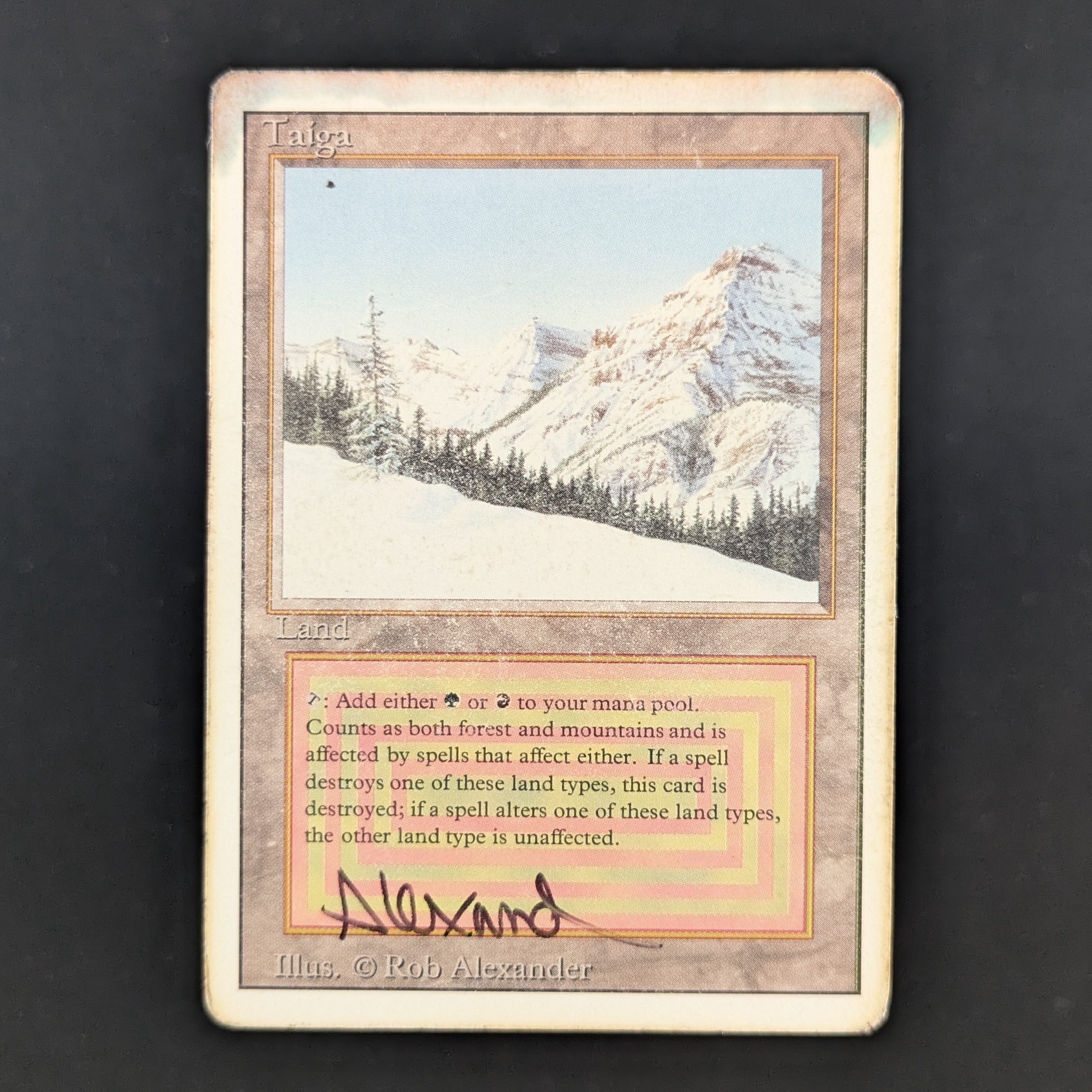 MTG Singles - Taiga - Revised - PO - SIGNED - 35168