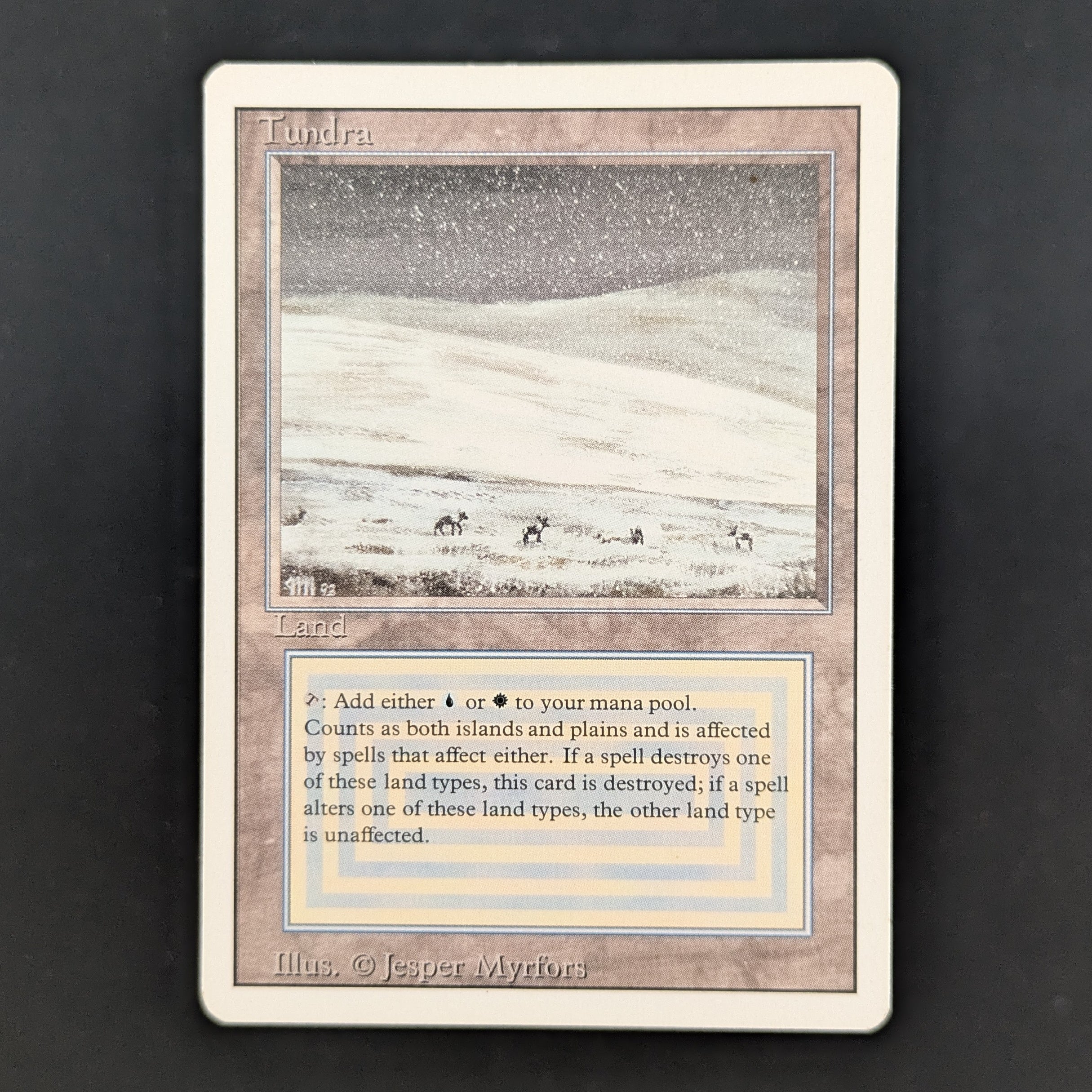 MTG Singles - Tundra - Revised - LP - 35175