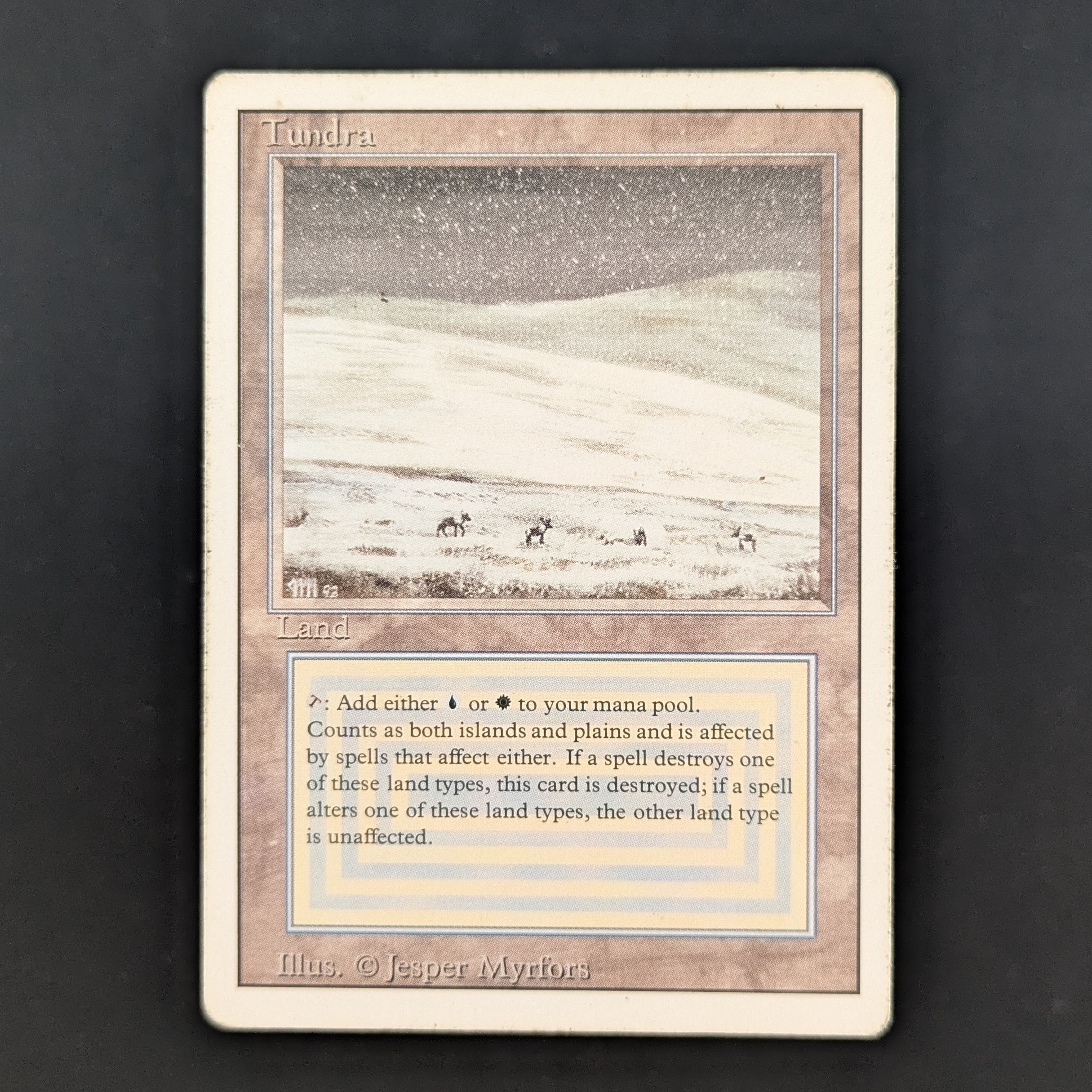 MTG Singles - Tundra - Revised - PL - 35176