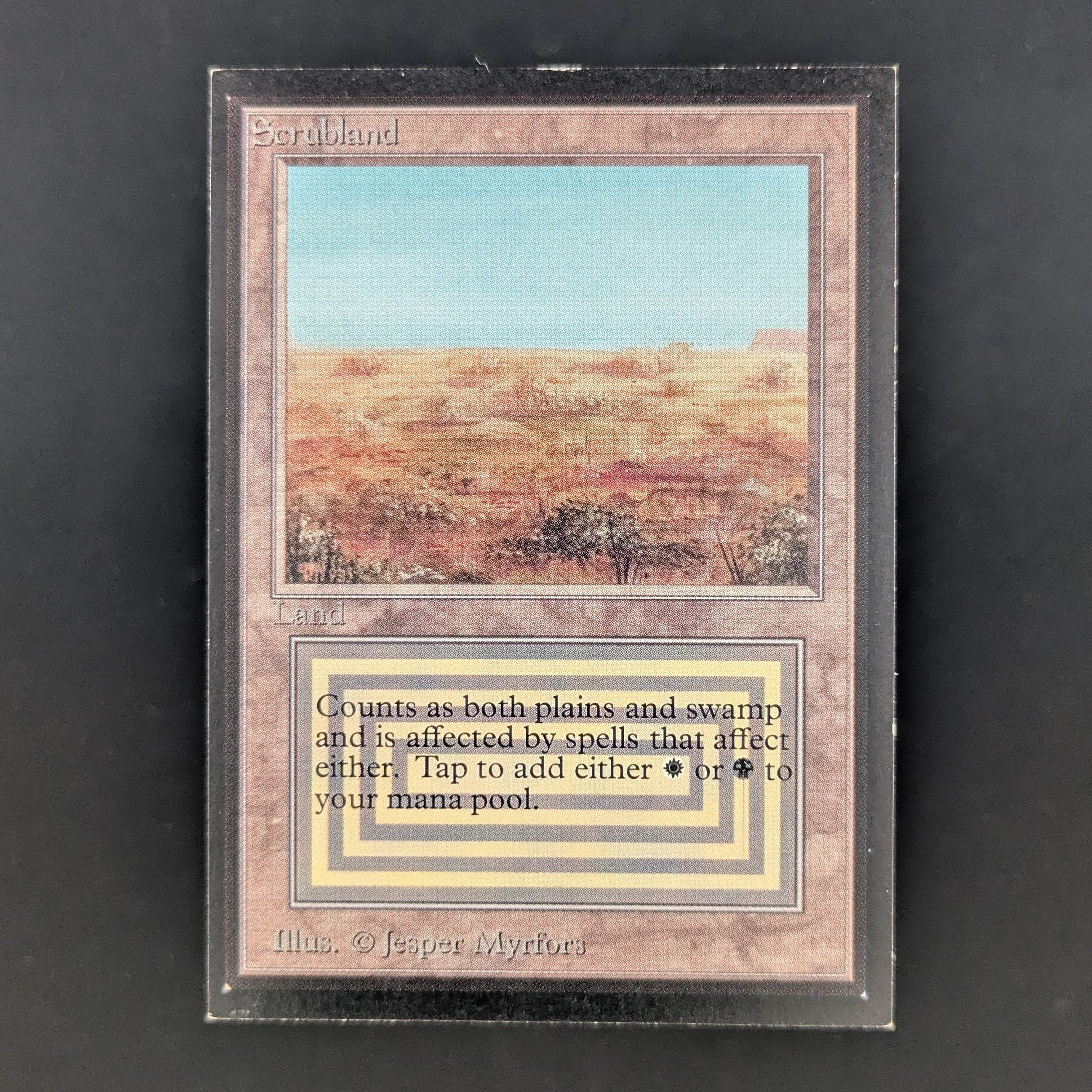 MTG Singles - Scrubland - International Edition - GD - 35204